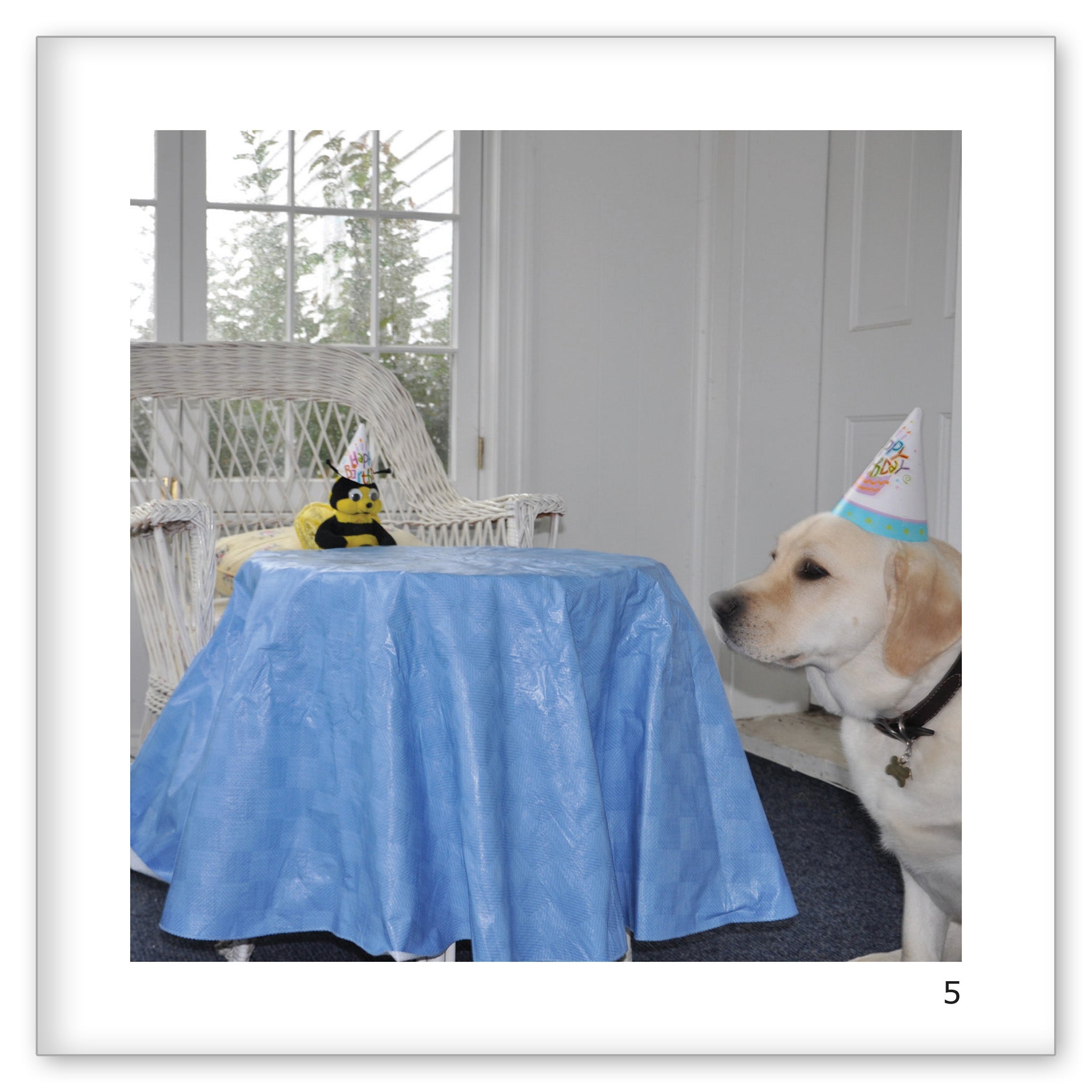 A Birthday for Danny's Bee