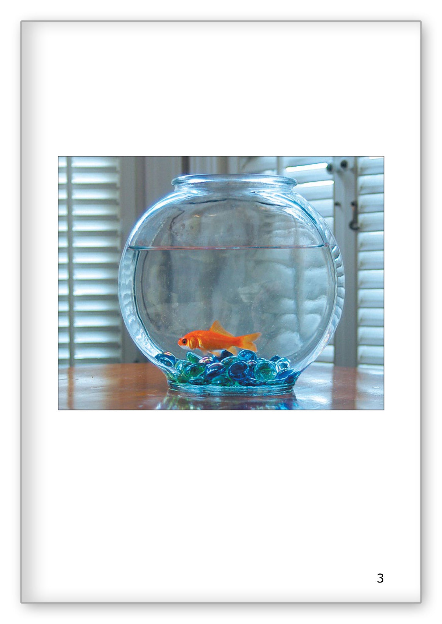 A Fish Story