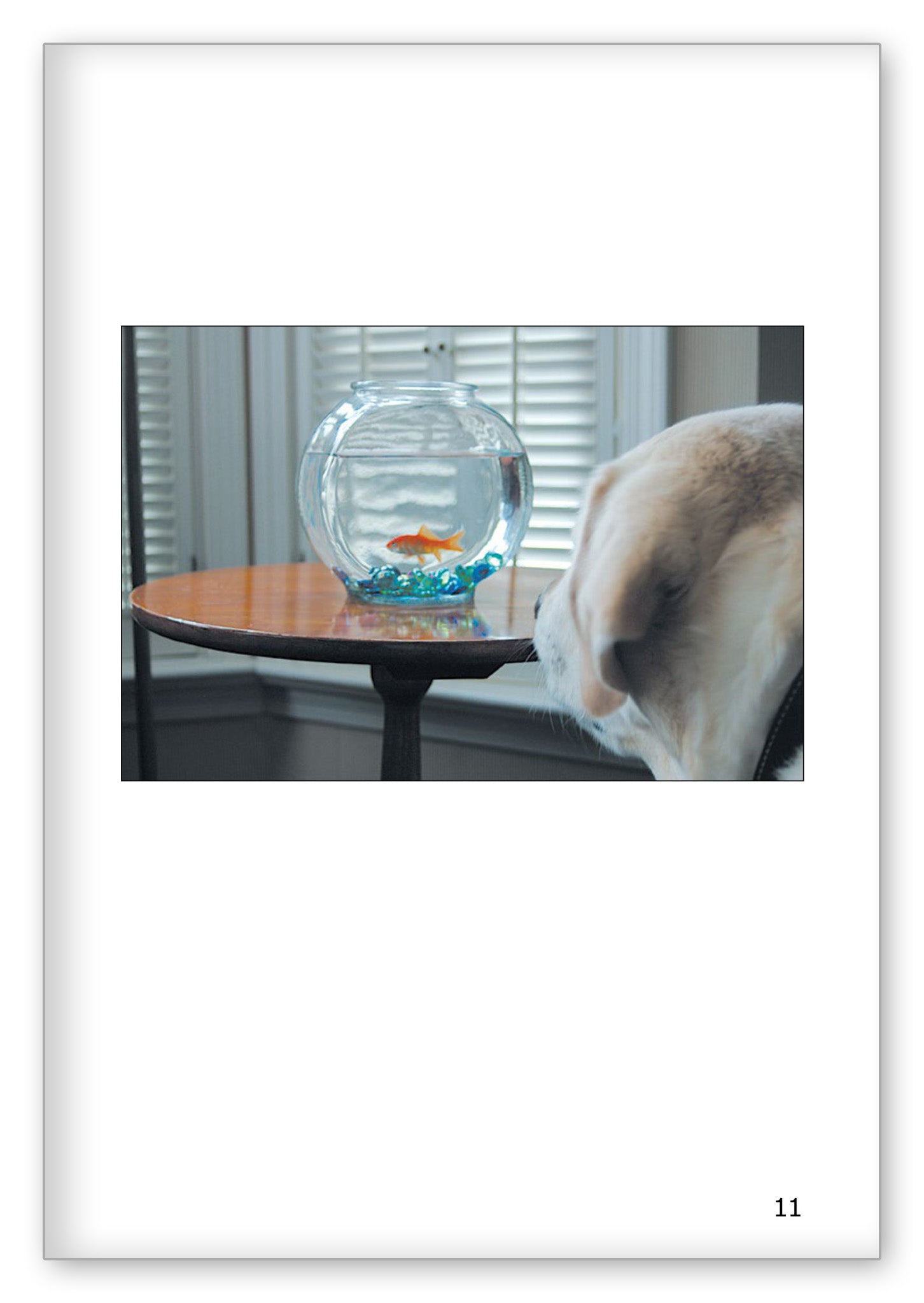 A Fish Story