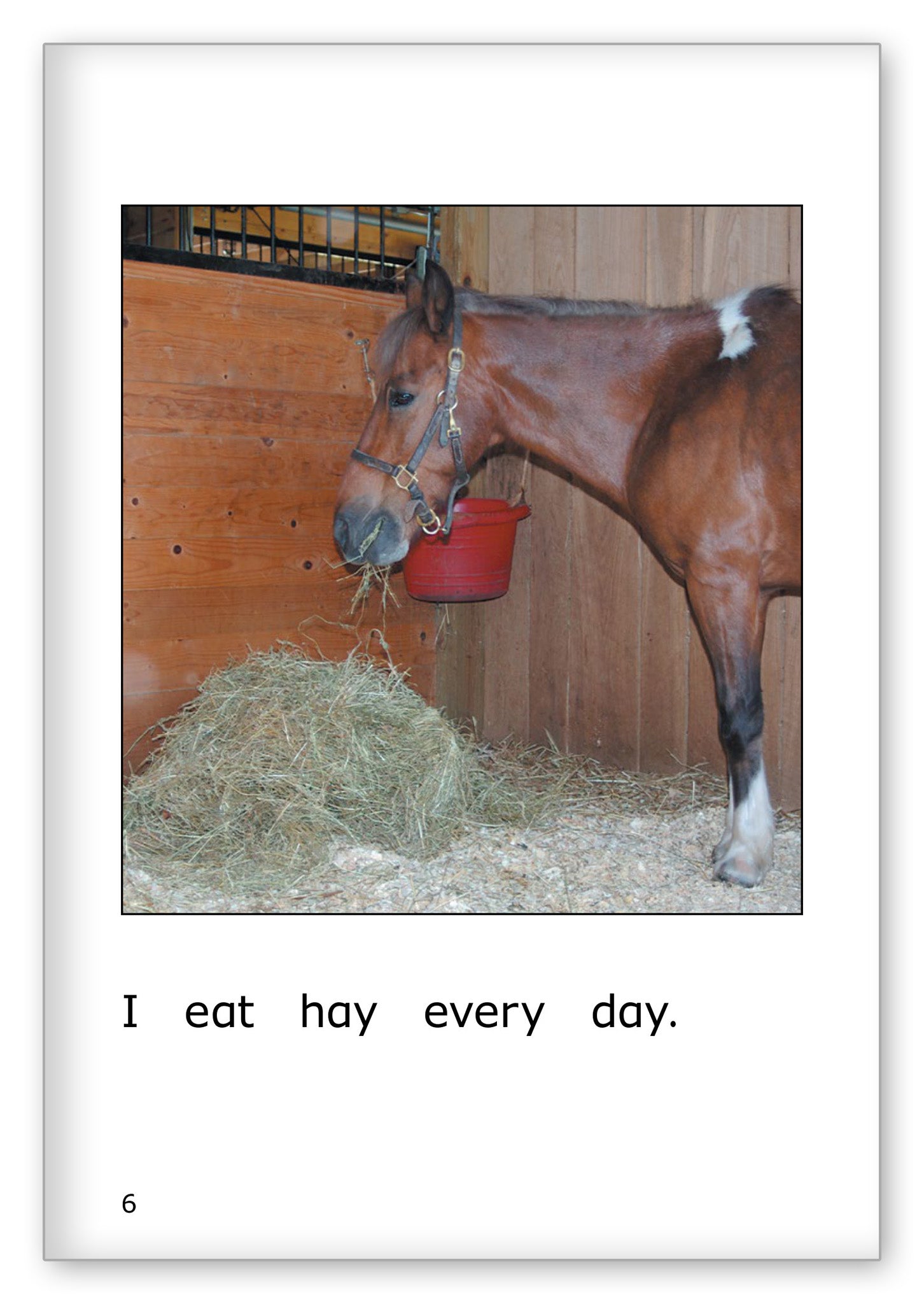 A Lucky Pony