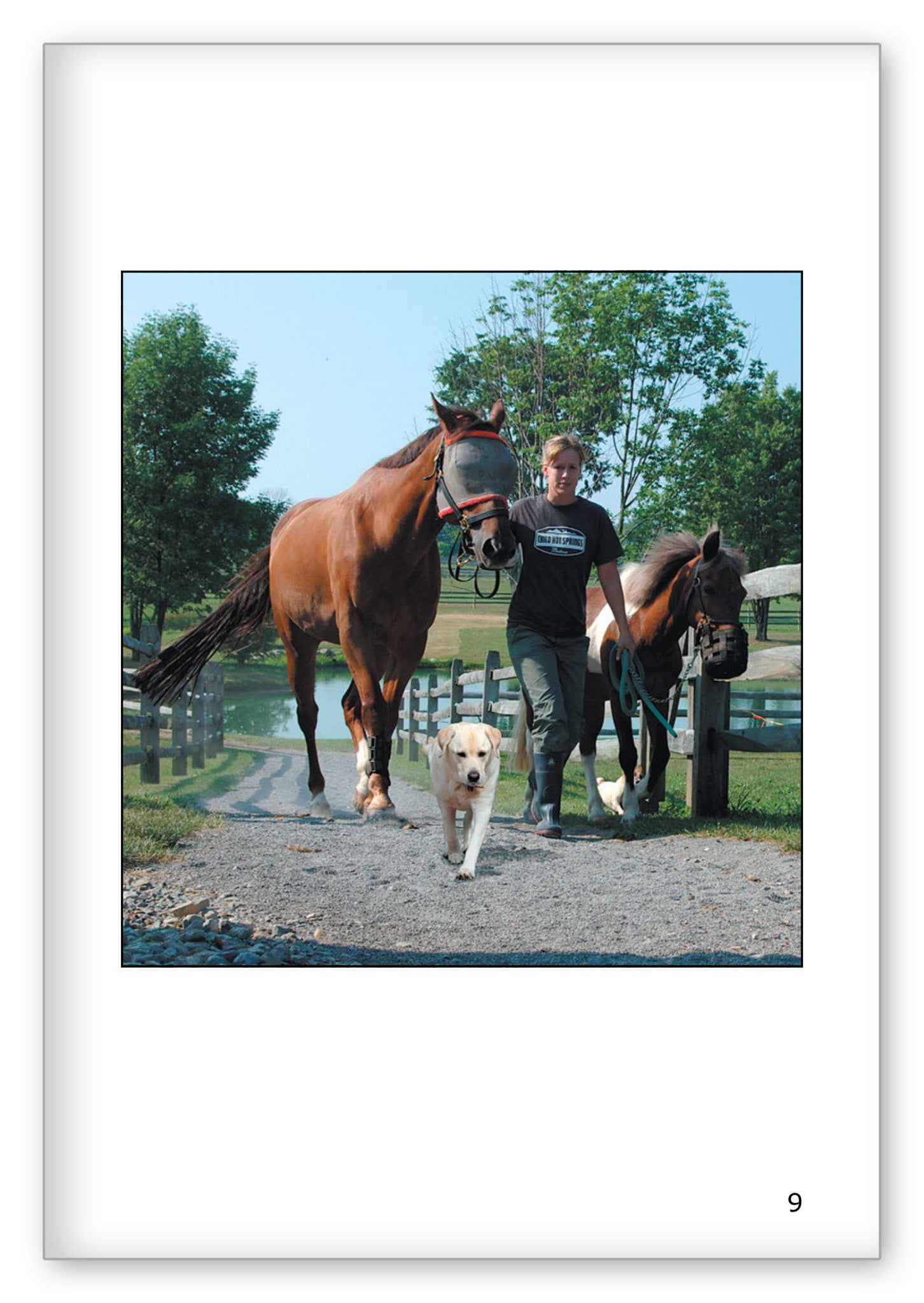 A Lucky Pony