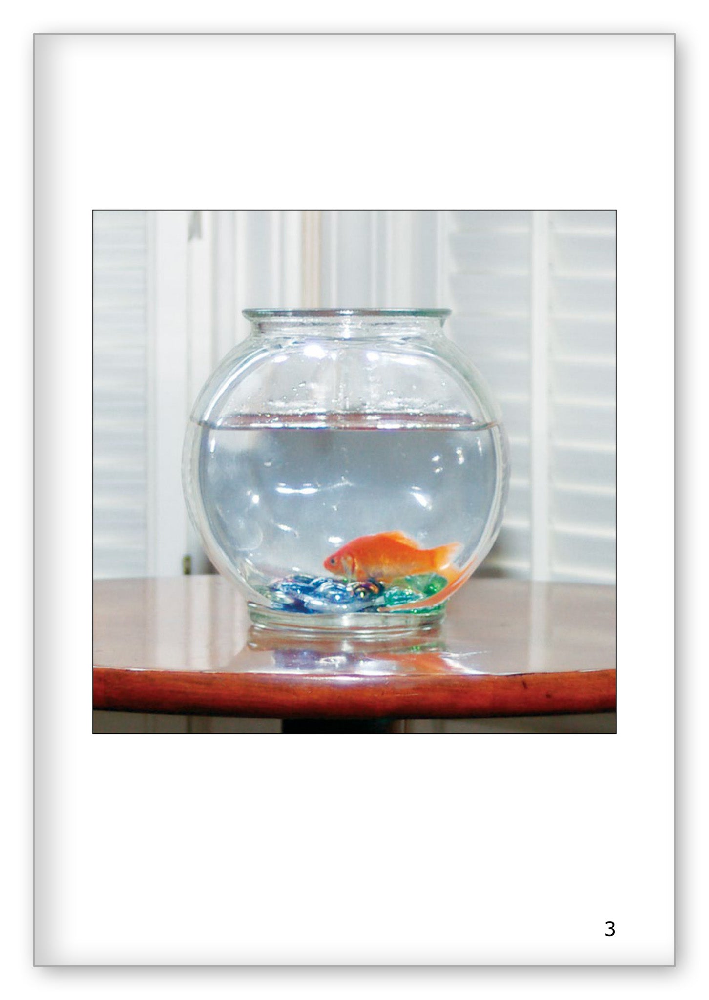 A New Home for Fish