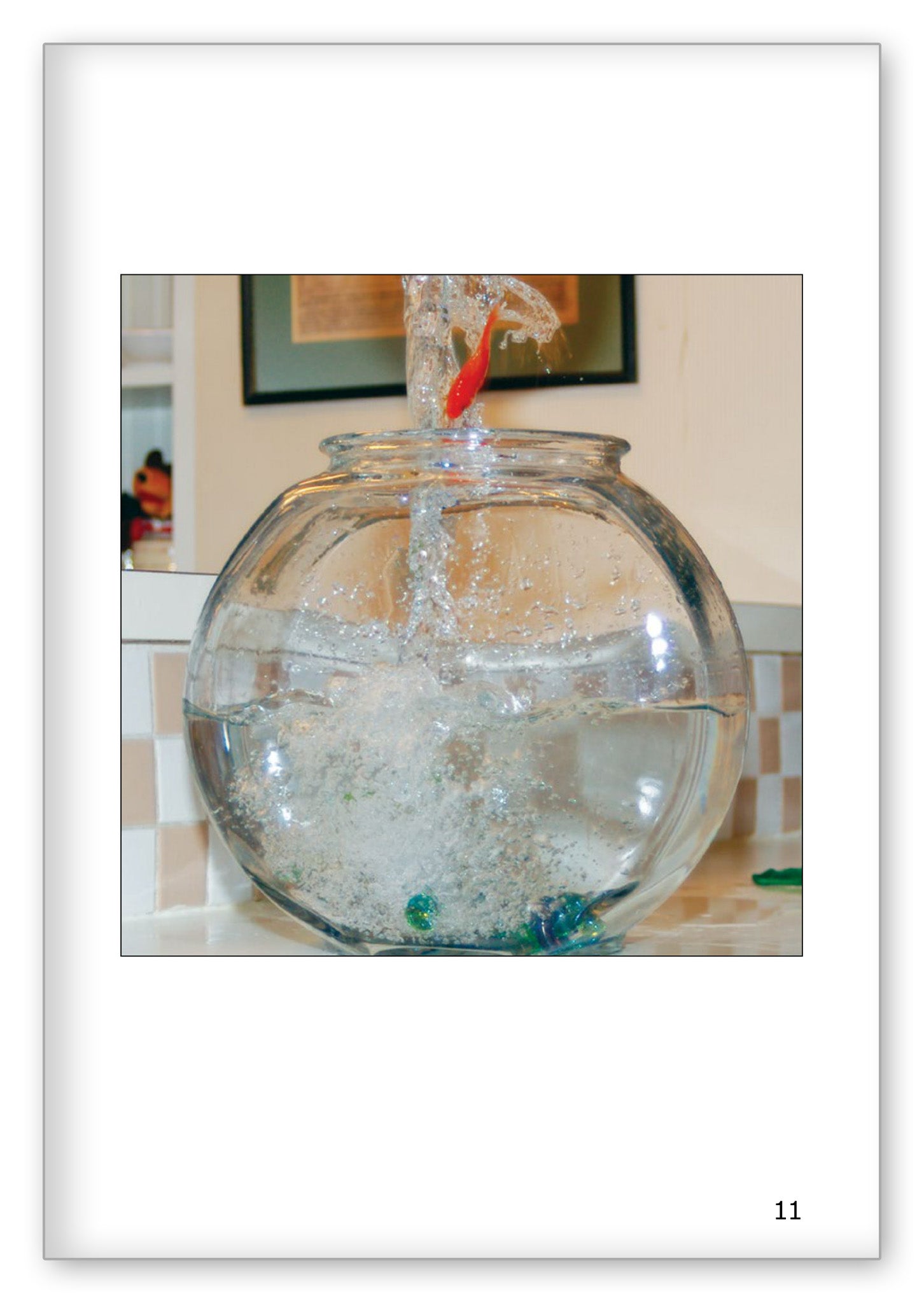 A New Home for Fish