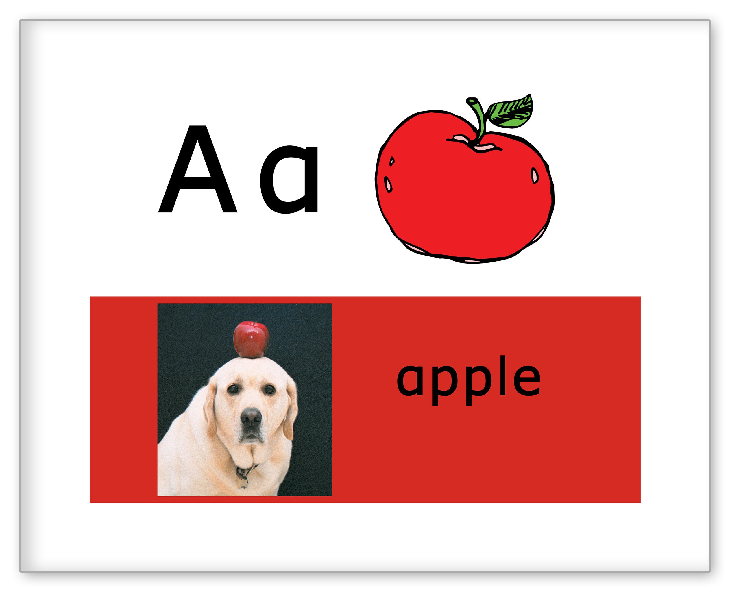 ABC Danny