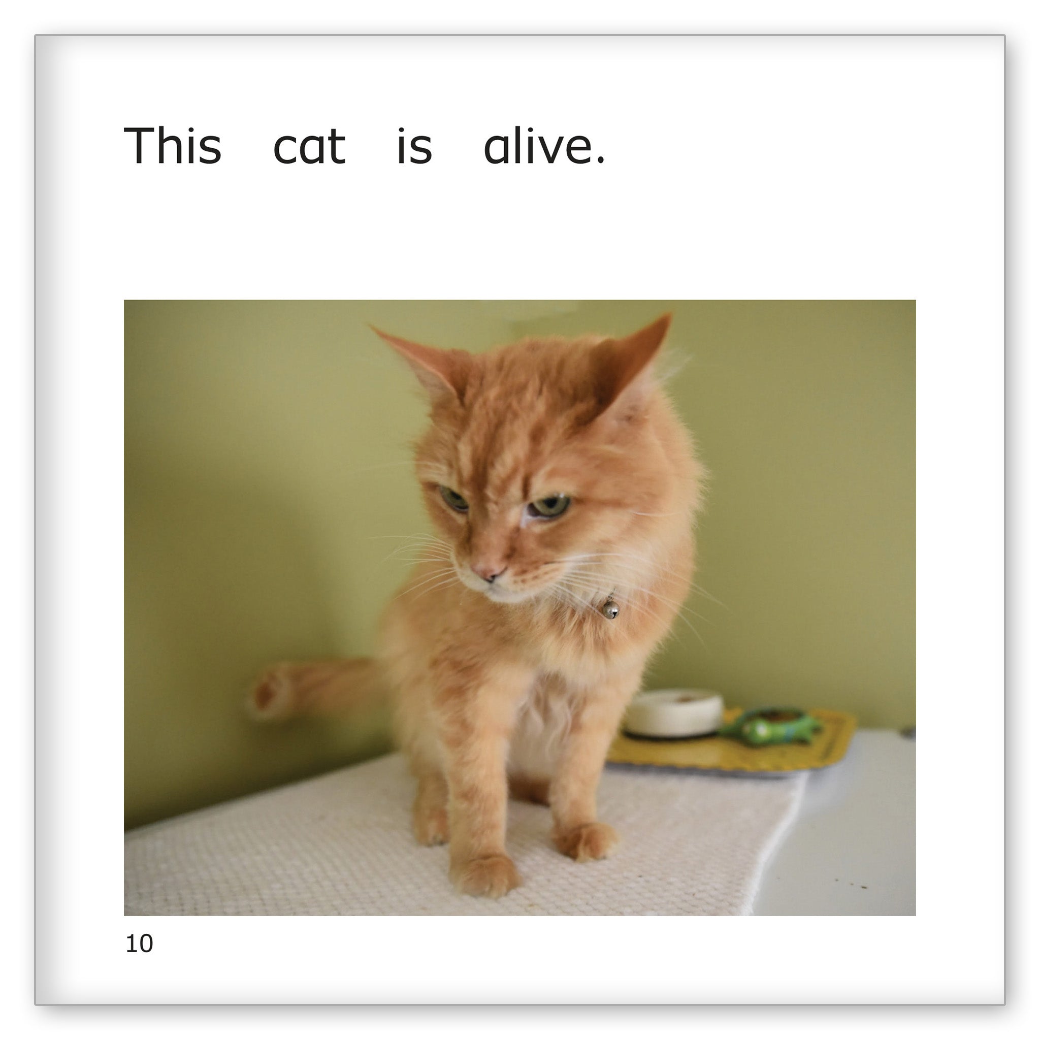 Alive or Not Alive, Danny?