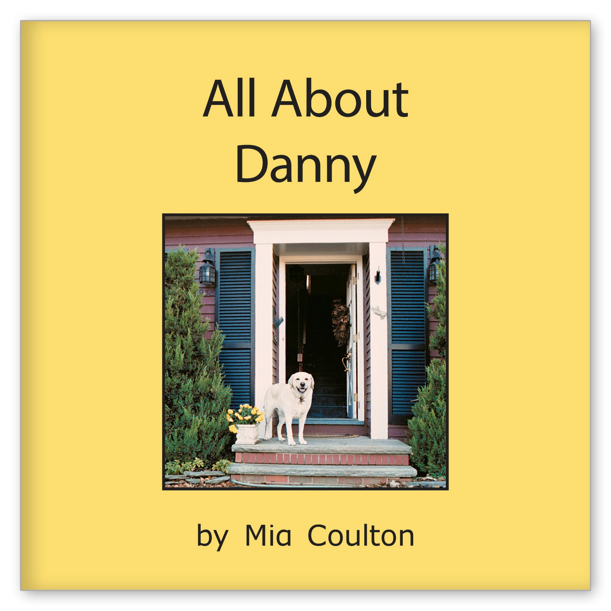 All About Danny from Meet Danny