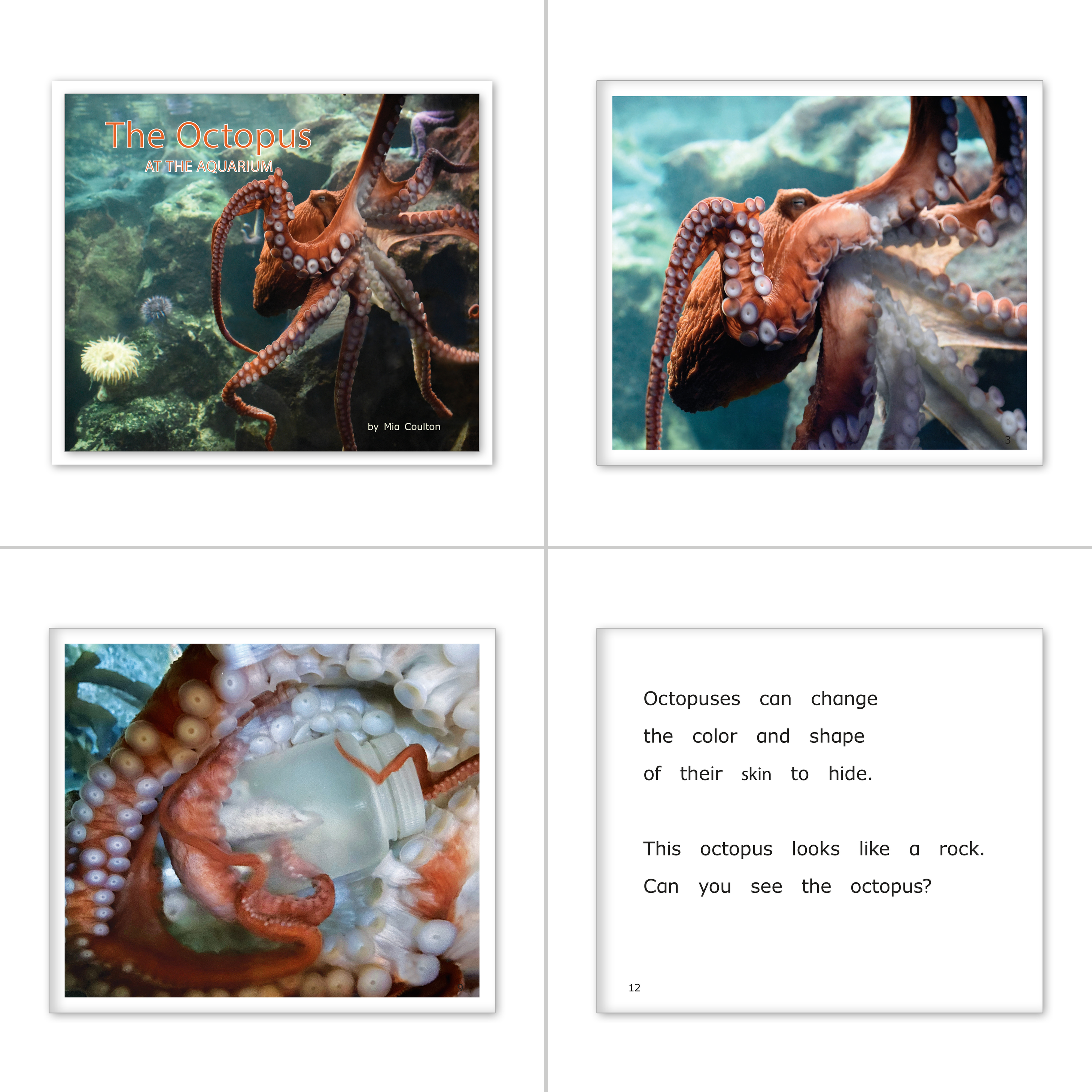 Aquarium Collection