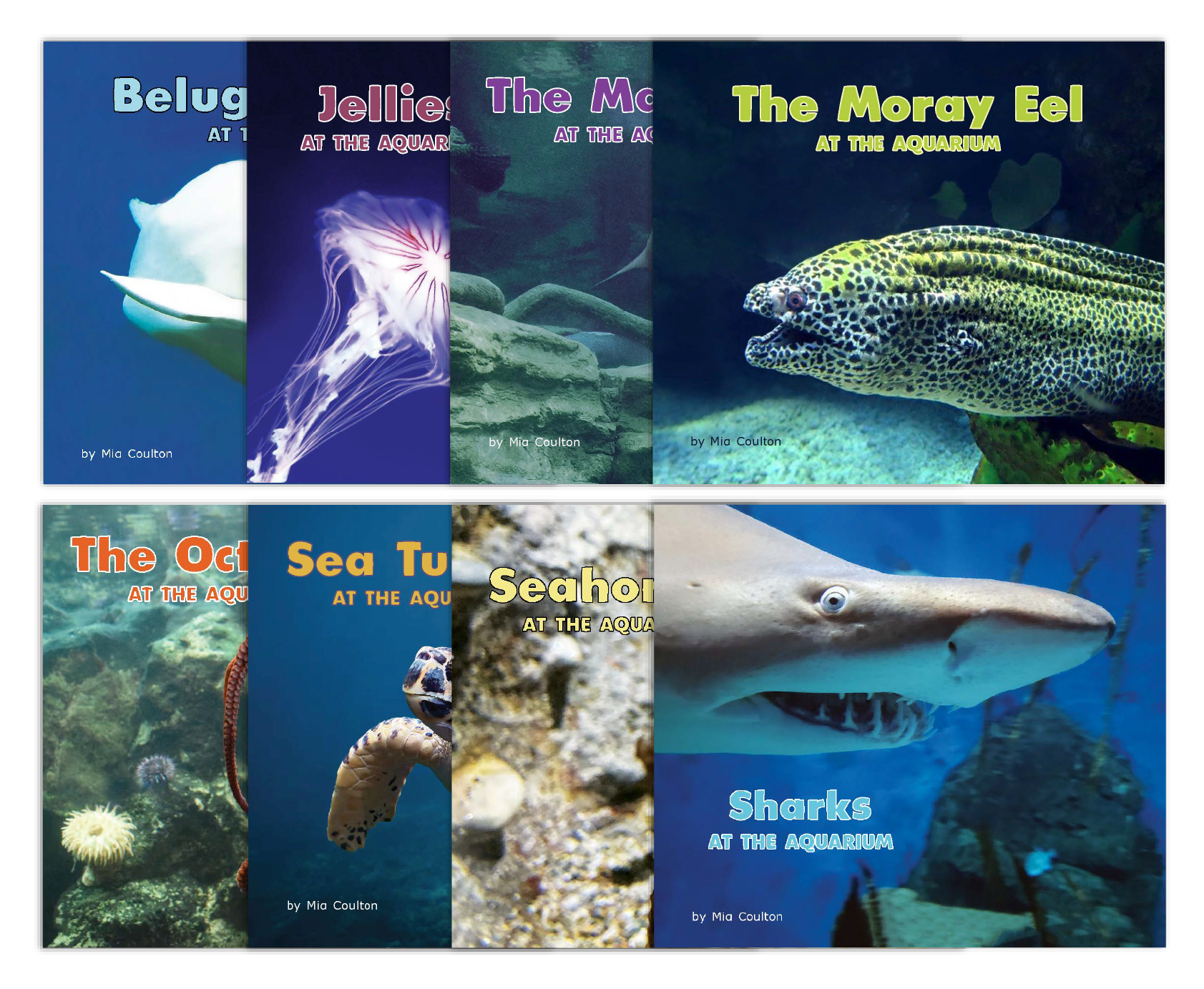 Aquarium Collection from At the Aquarium