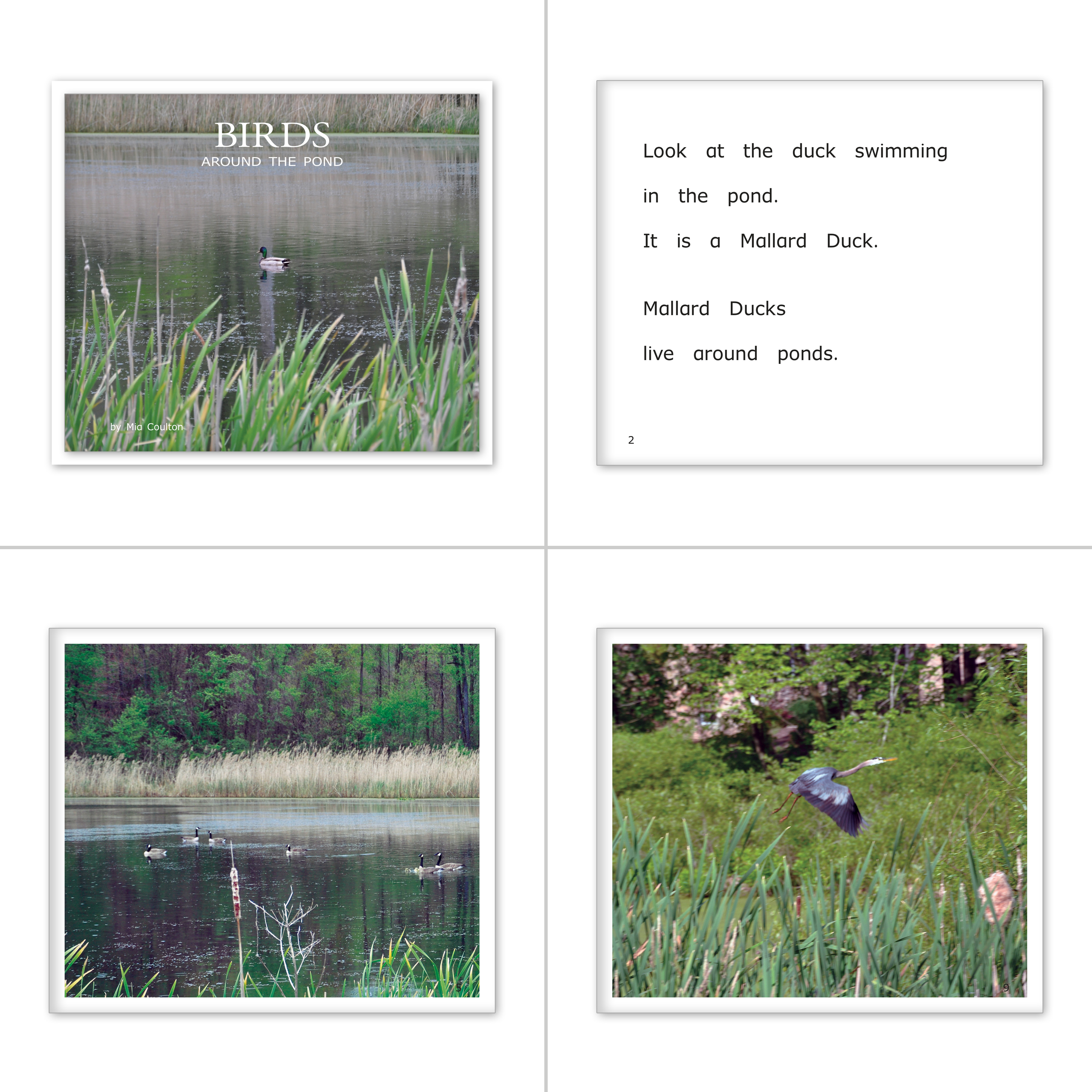 Around the Pond Set