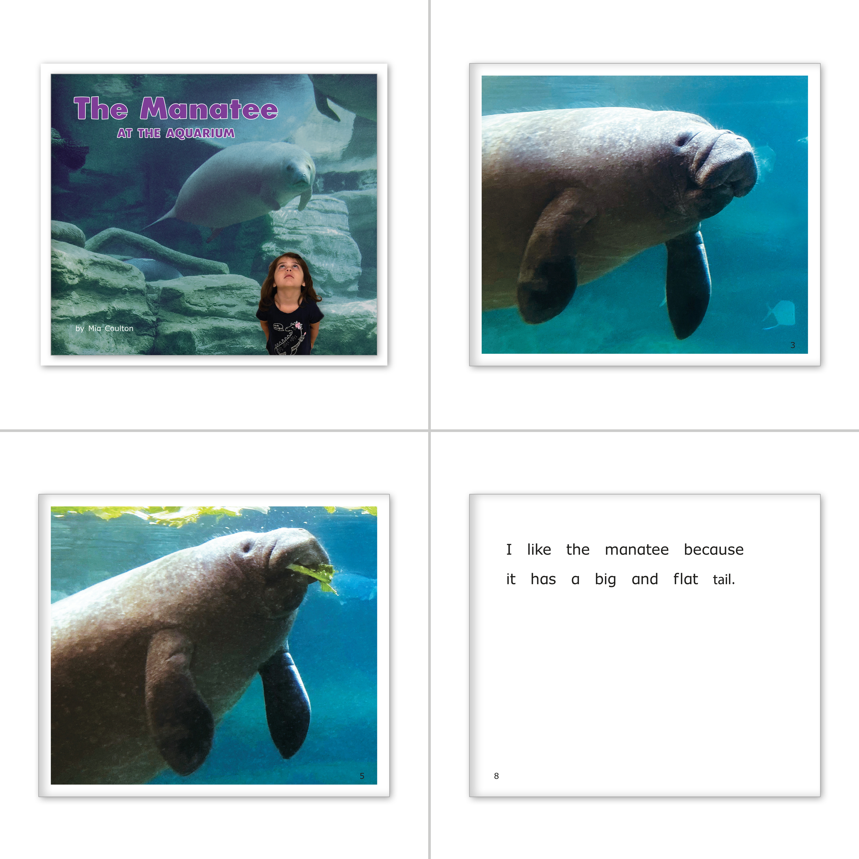 At the Aquarium Set 2