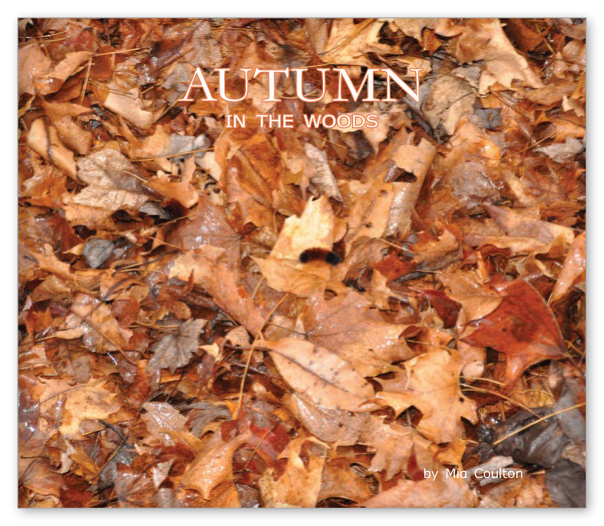 Autumn in the Woods from In the Woods with Danny and Bee