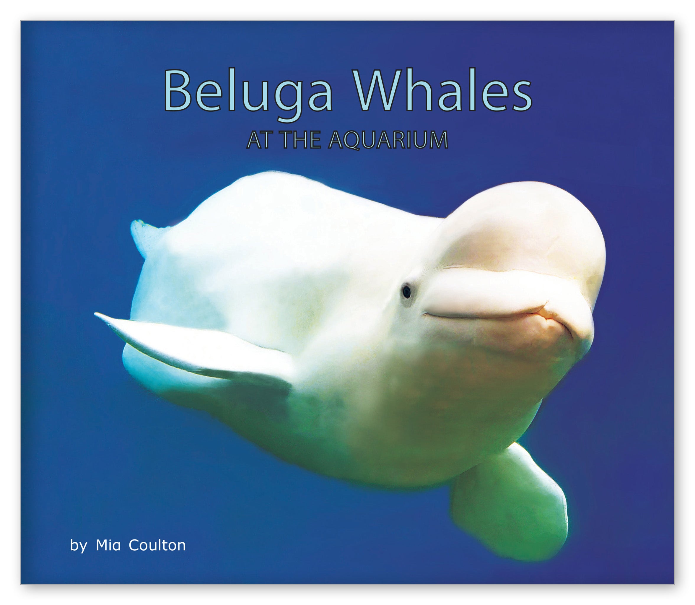 Beluga Whales at the Aquarium from At the Aquarium