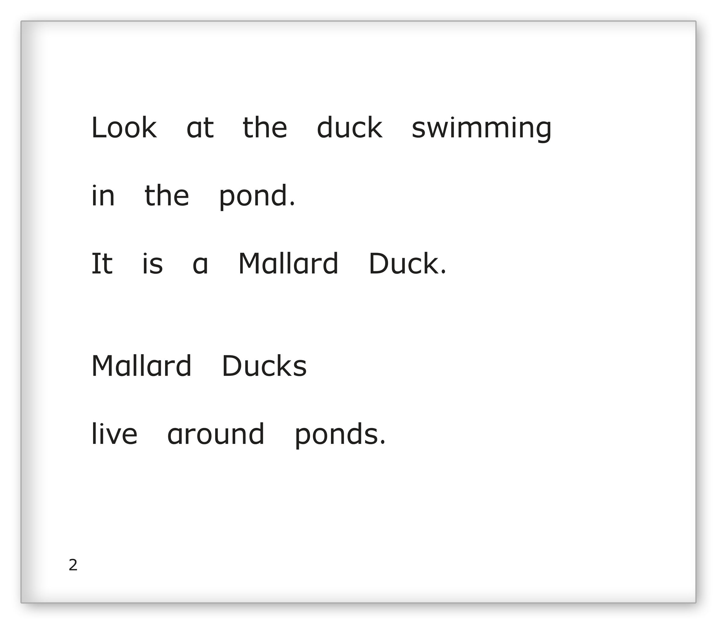 Birds Around the Pond