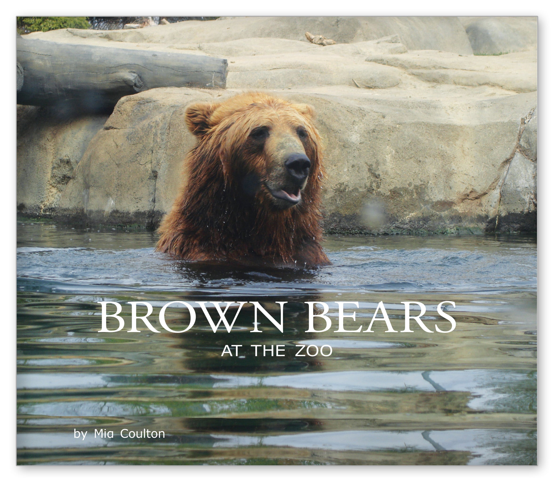 Brown Bears at the Zoo from At the Zoo