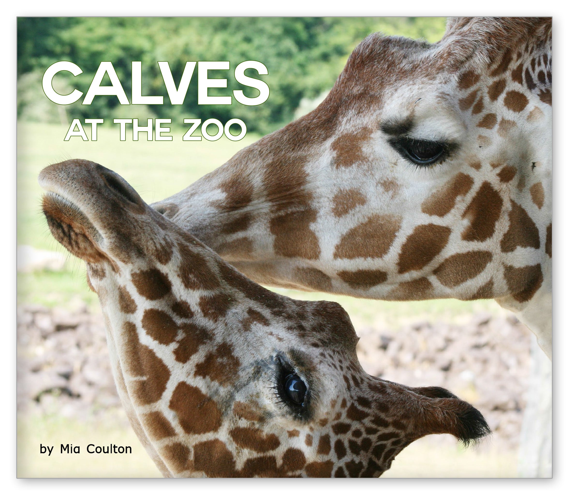 Calves at the Zoo from At the Zoo