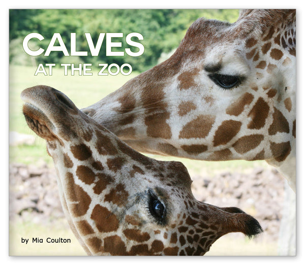 Calves at the Zoo book cover