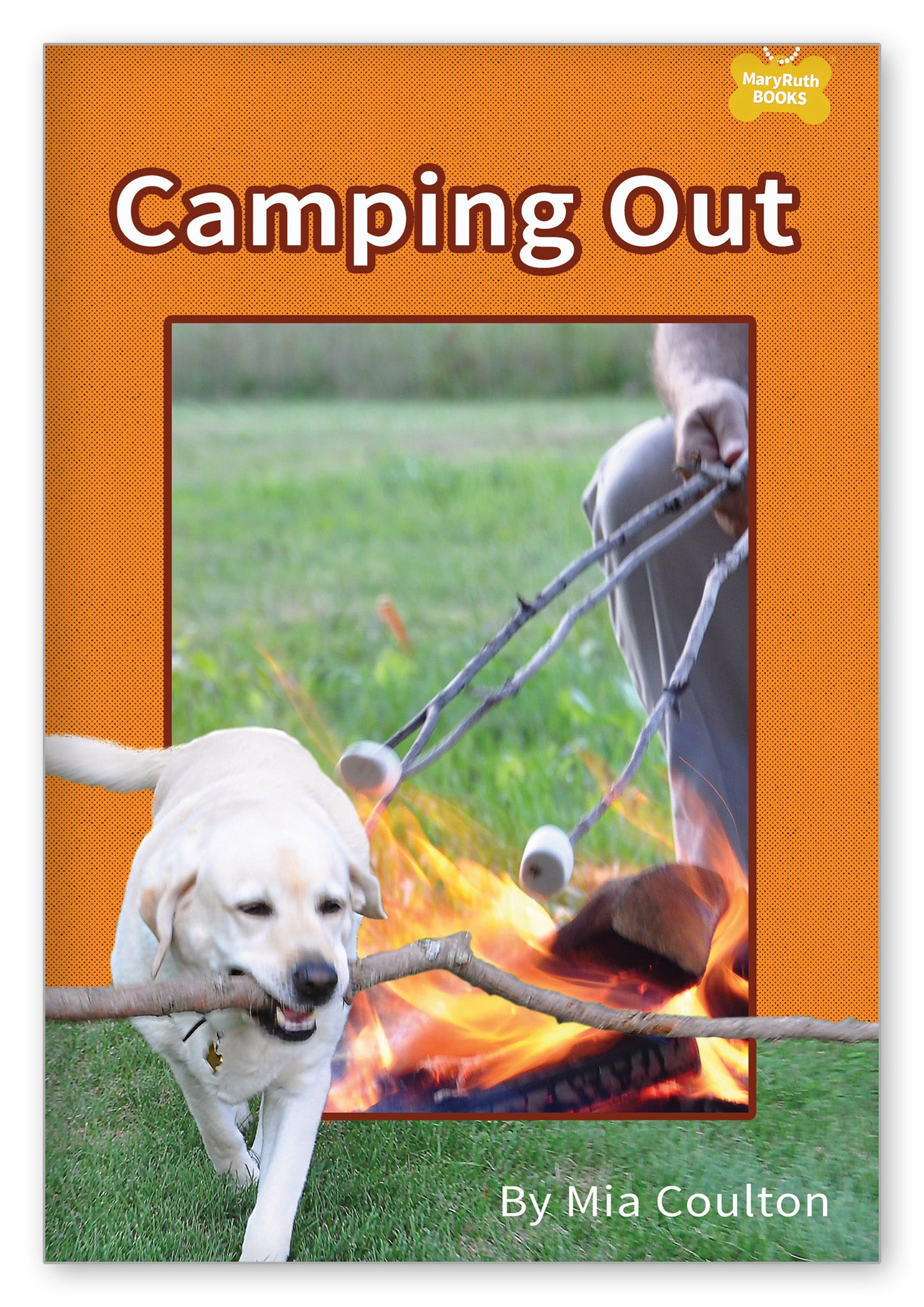 Camping Out from Danny's Big Adventure Chapter Books