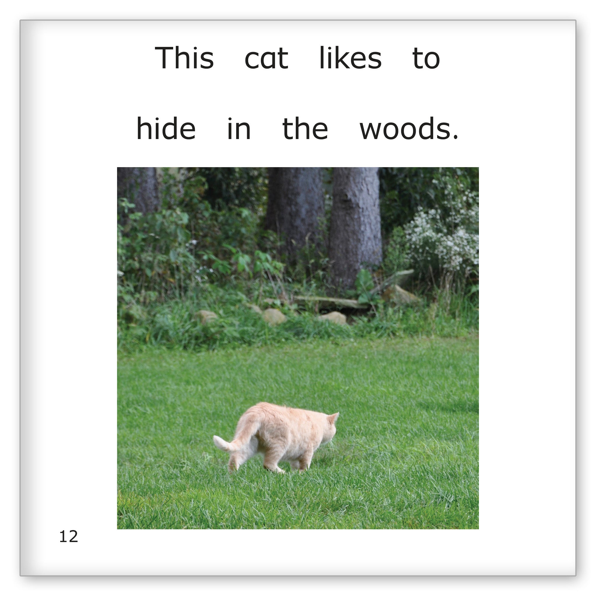Cats Like to Hide