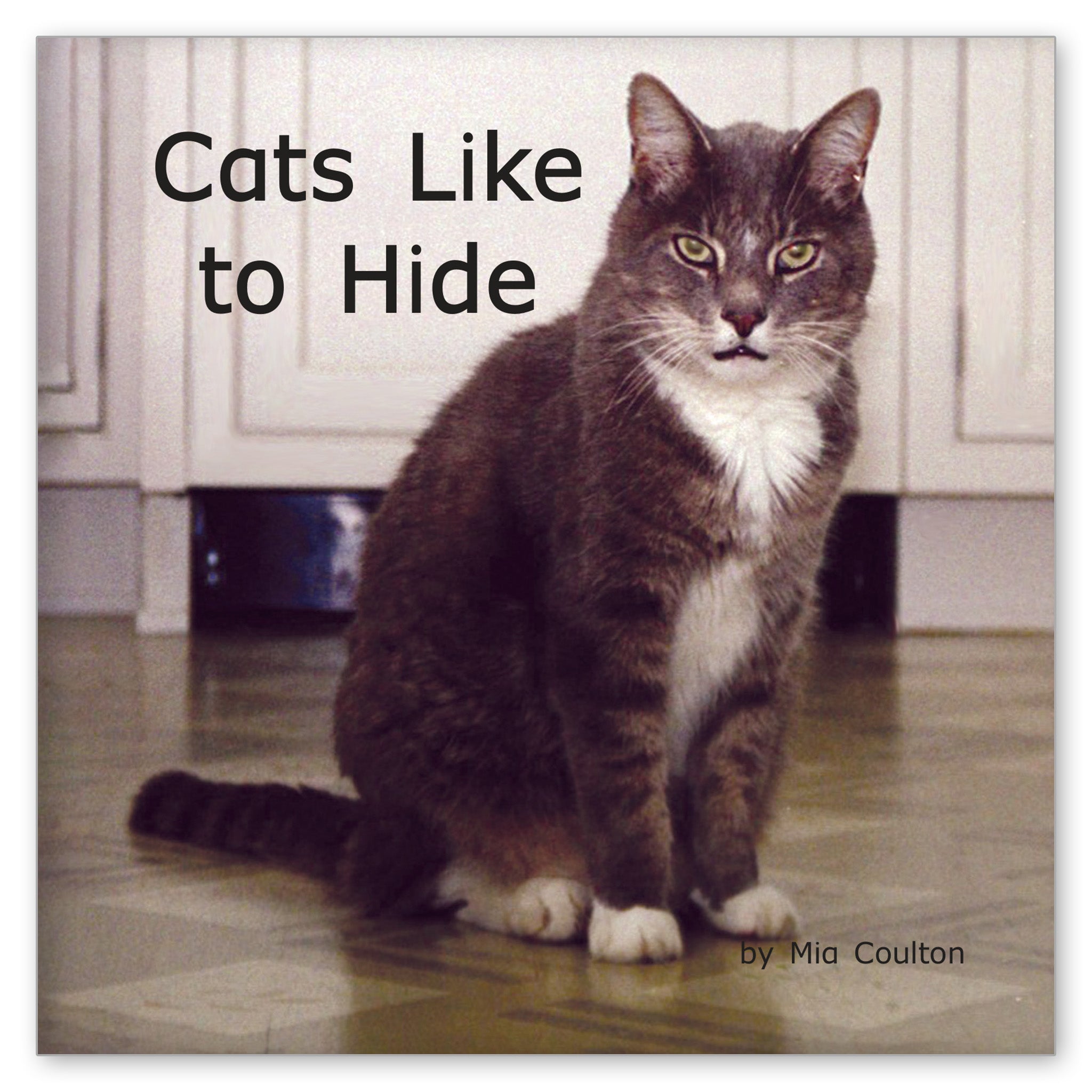 Cats Like to Hide from Favorite Farm Animals