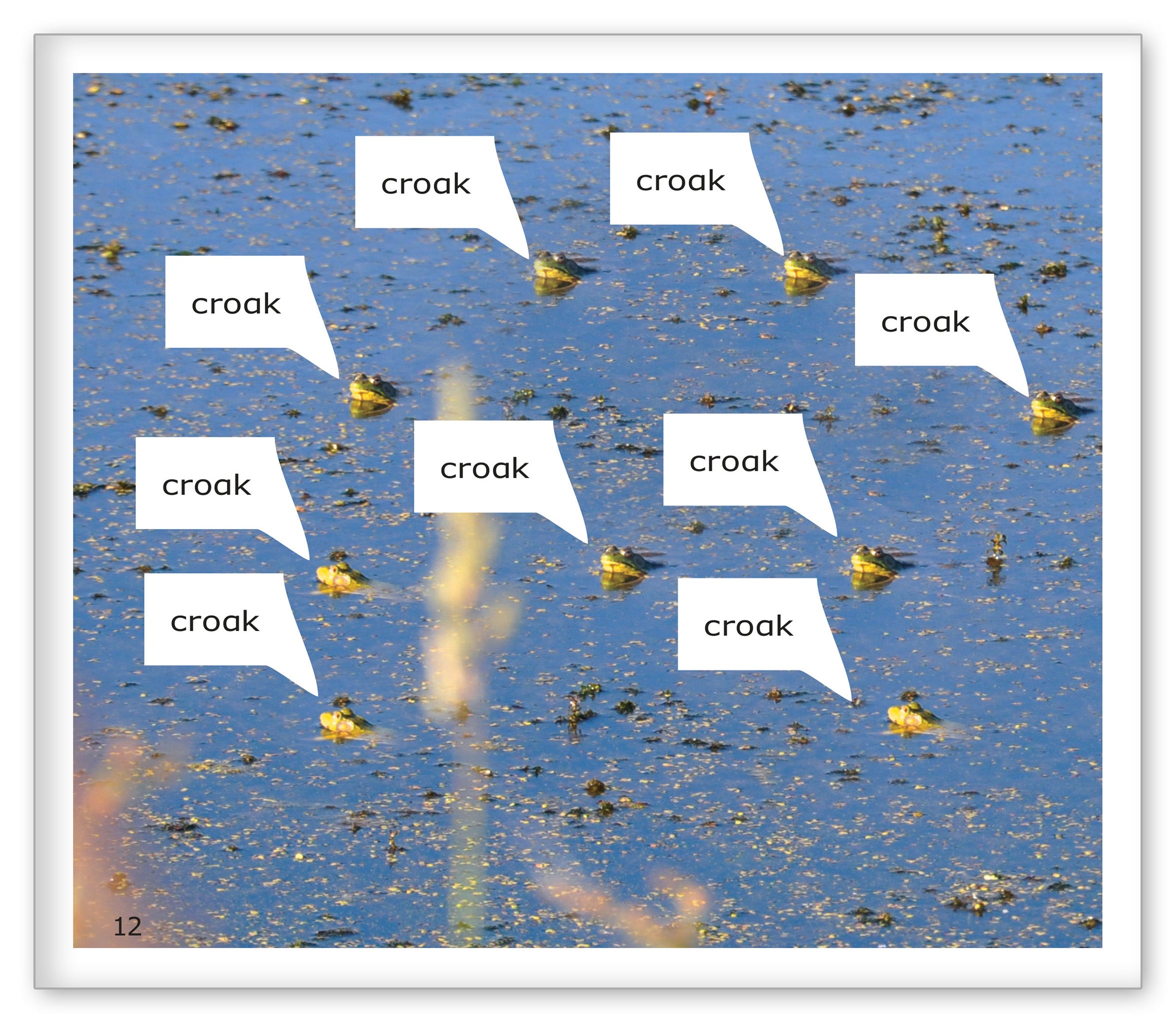 Counting Frogs Around the Pond