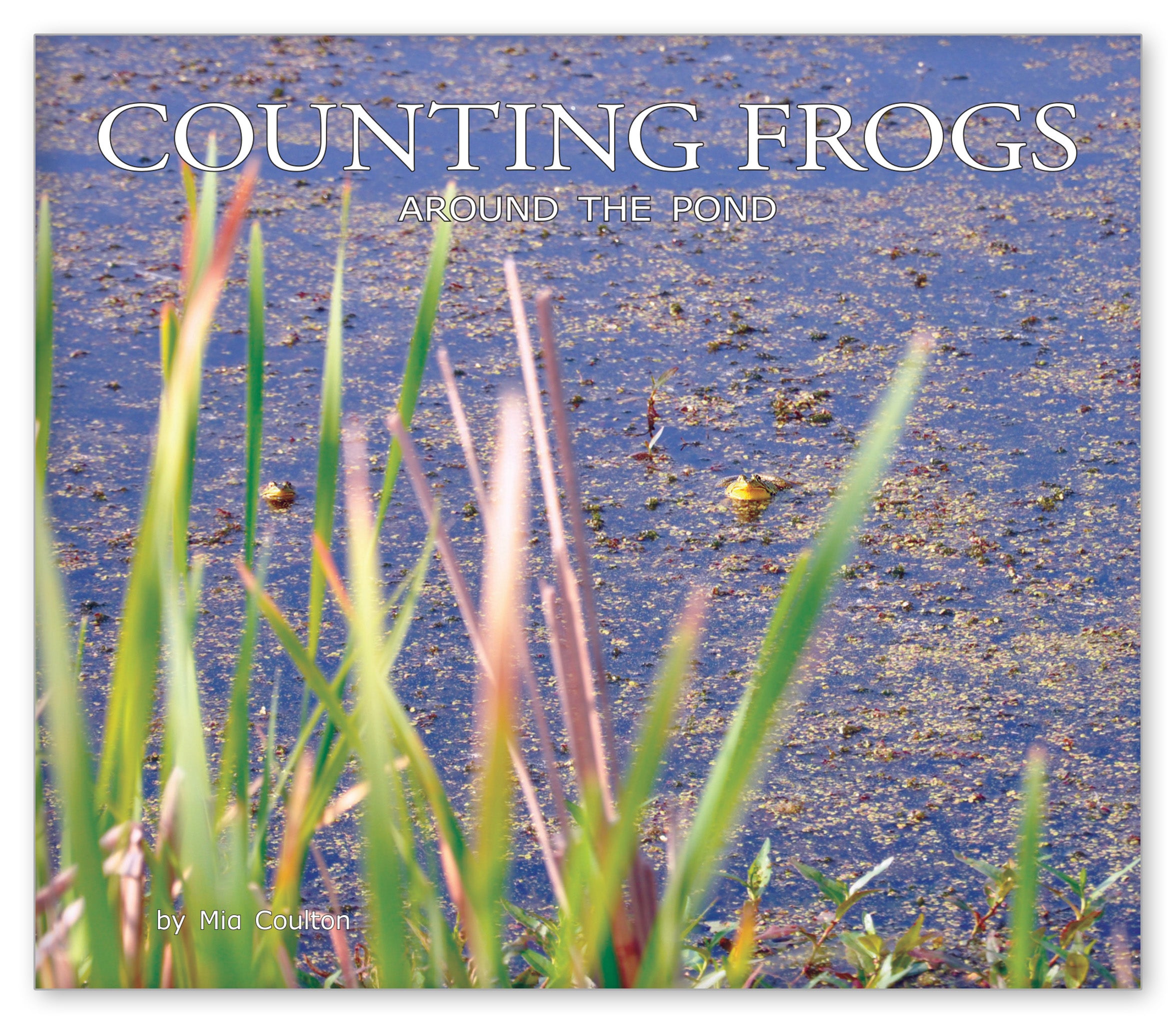 Counting Frogs Around the Pond from Around the Pond