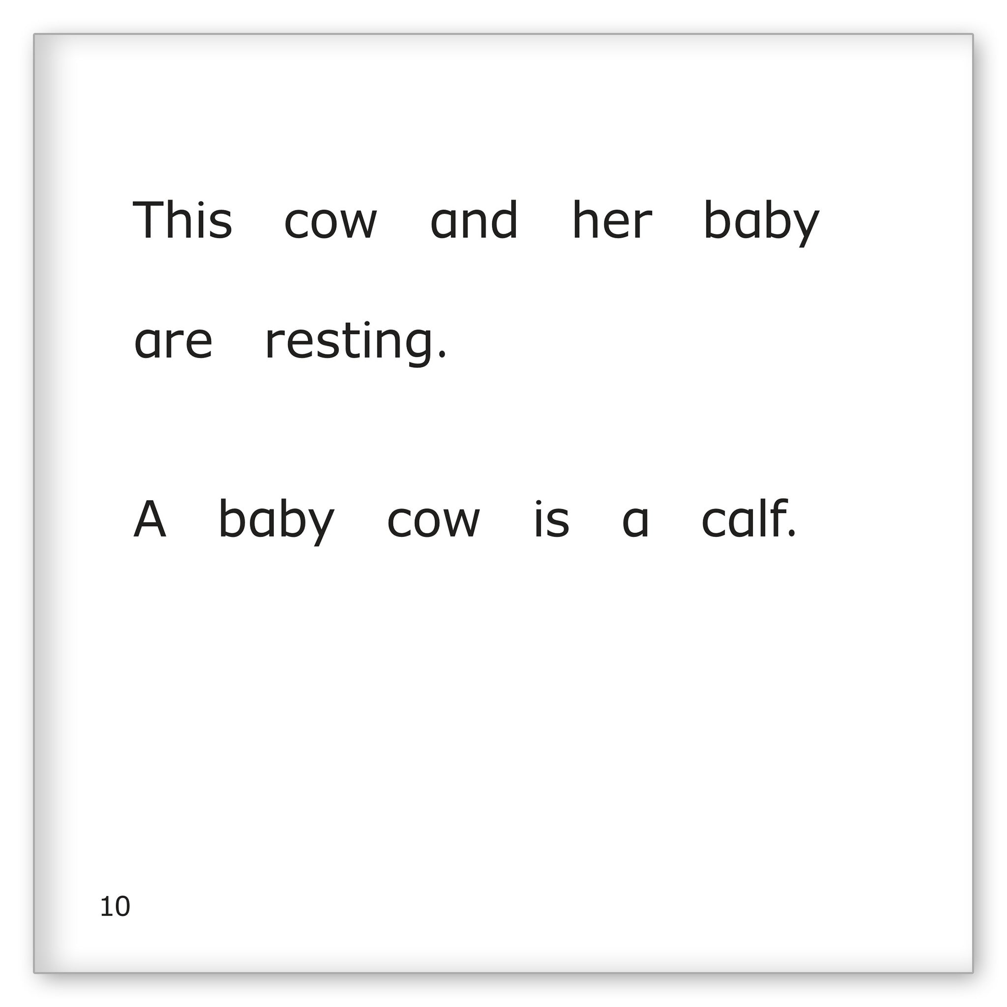Cows