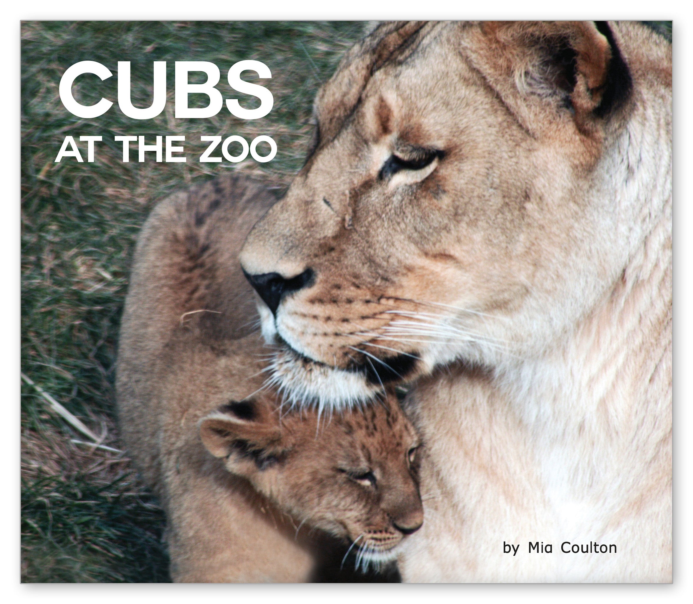 Cubs at the Zoo from At the Zoo