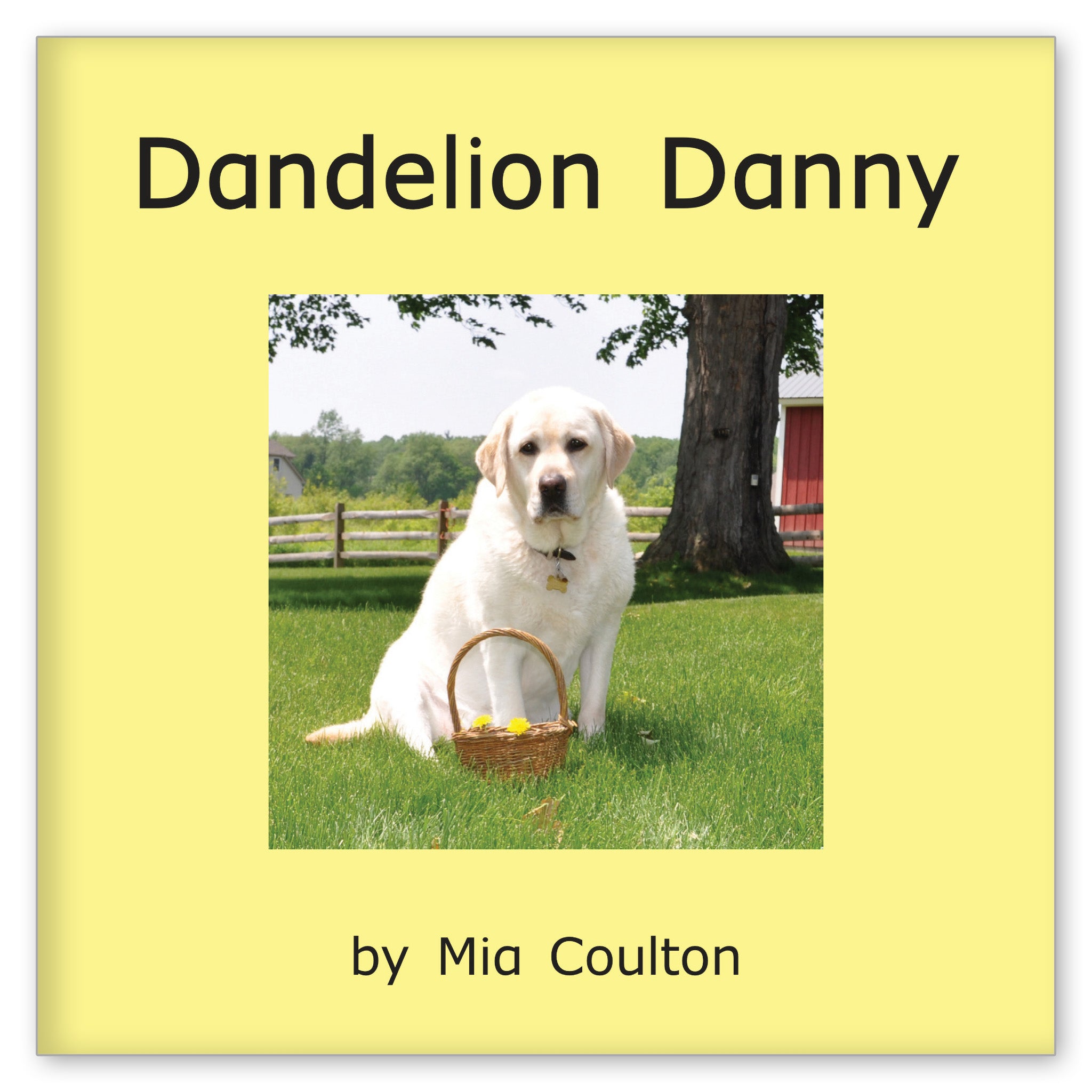 Dandelion Danny from Dynamo Danny