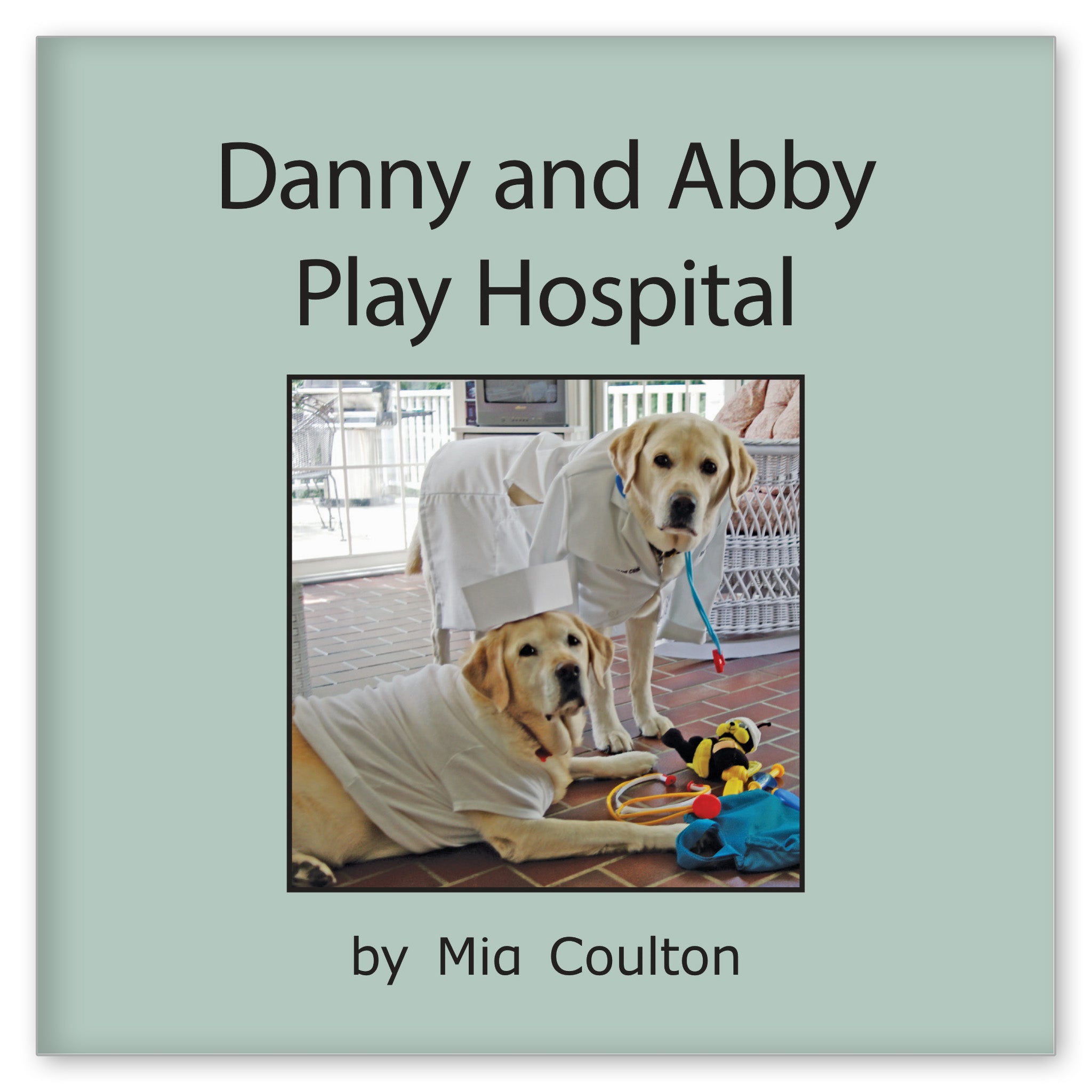 Danny and Abby Play Hospital from Danny Returns