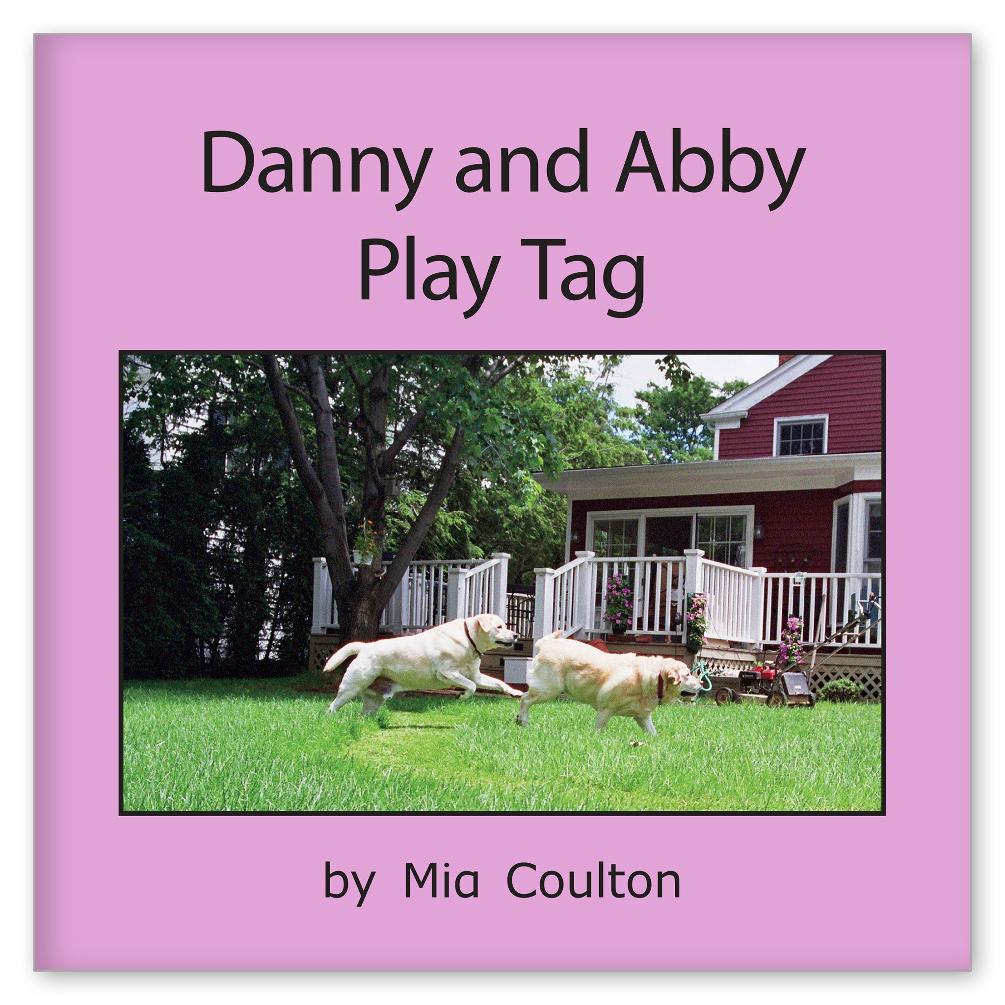 Danny and Abby Play Tag from Danny is Back