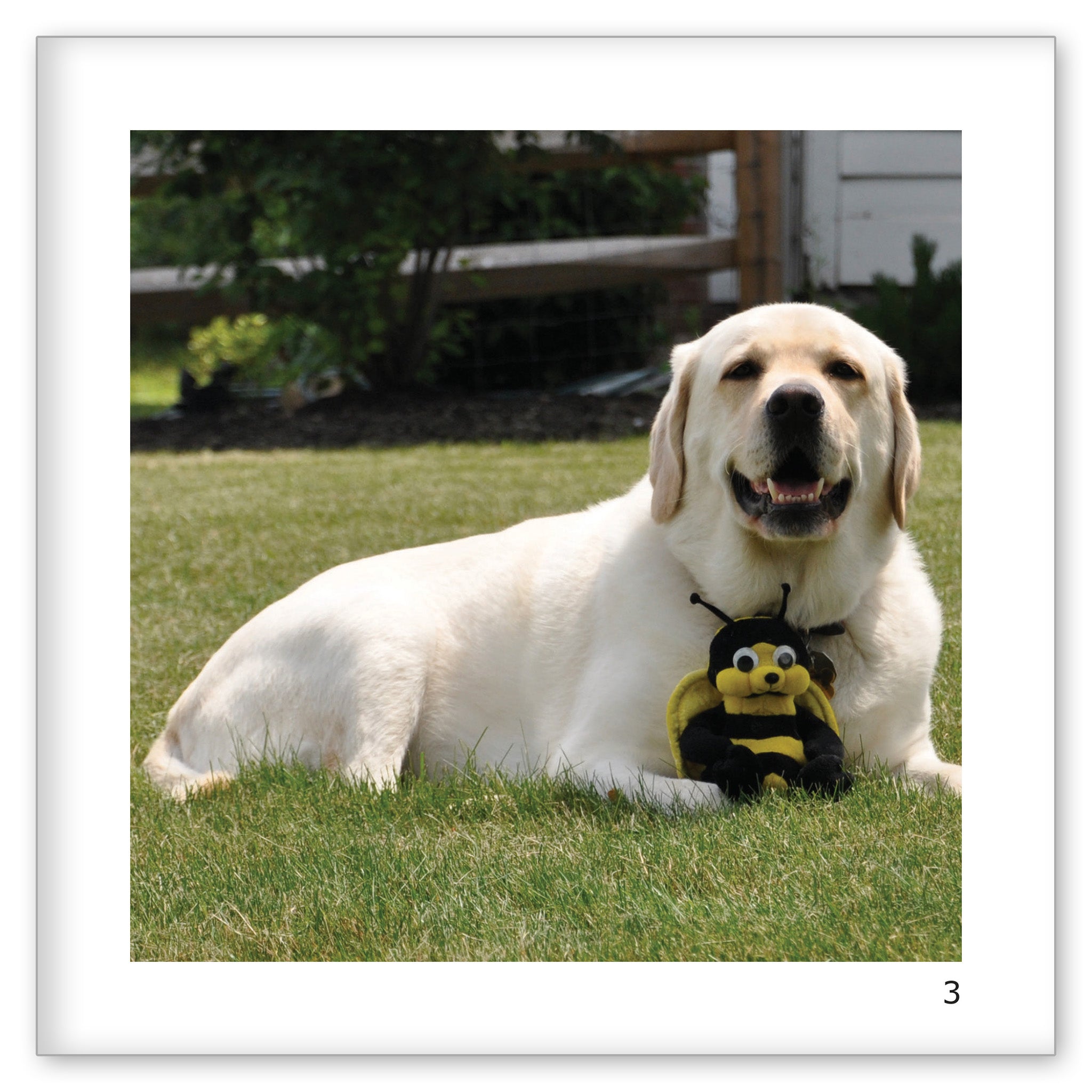 Danny and Bee Play Together