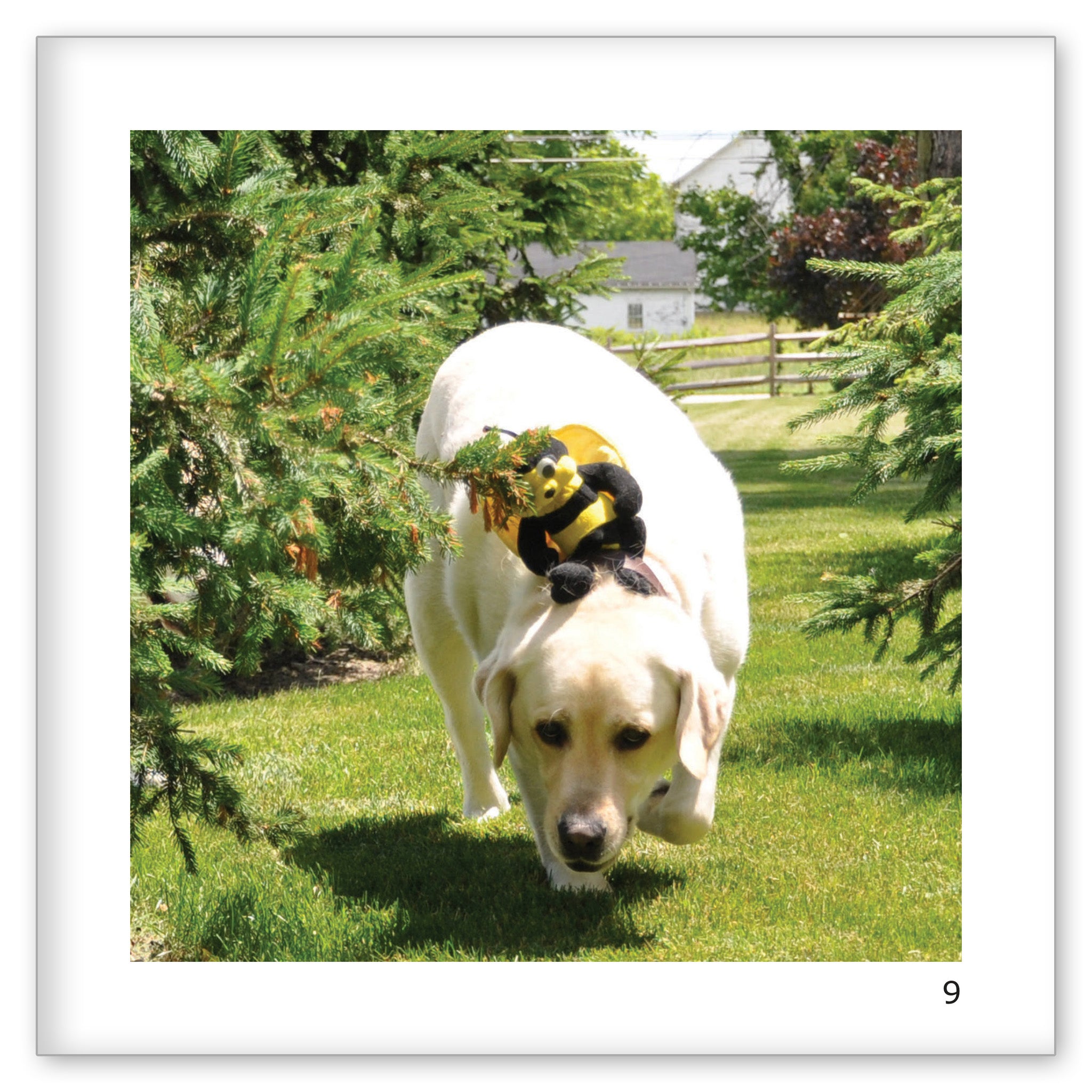 Danny and Bee Play Together