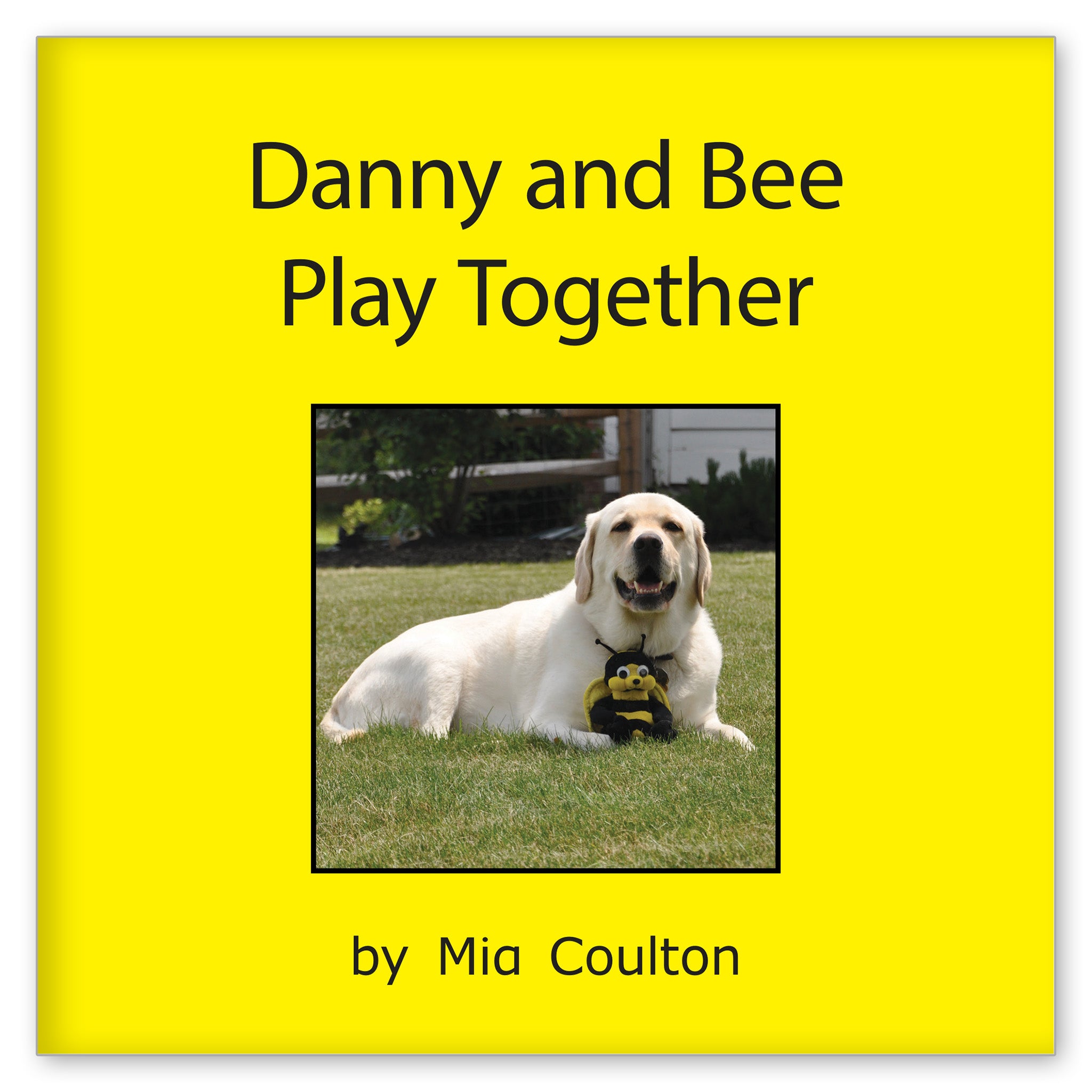 Danny and Bee Play Together from Hot Diggity Danny
