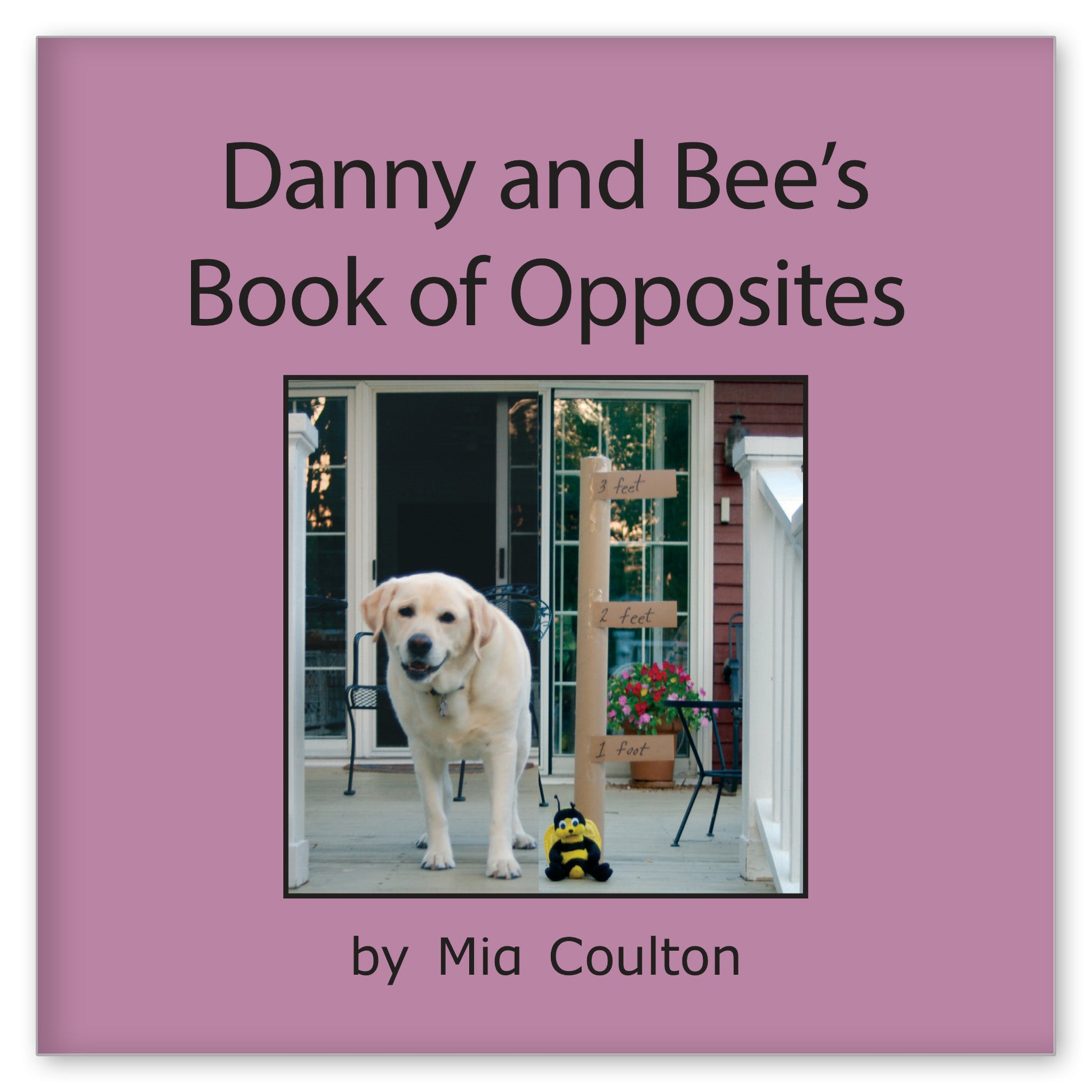Danny and Bee's Book of Opposites from Danny! Danny! Danny!