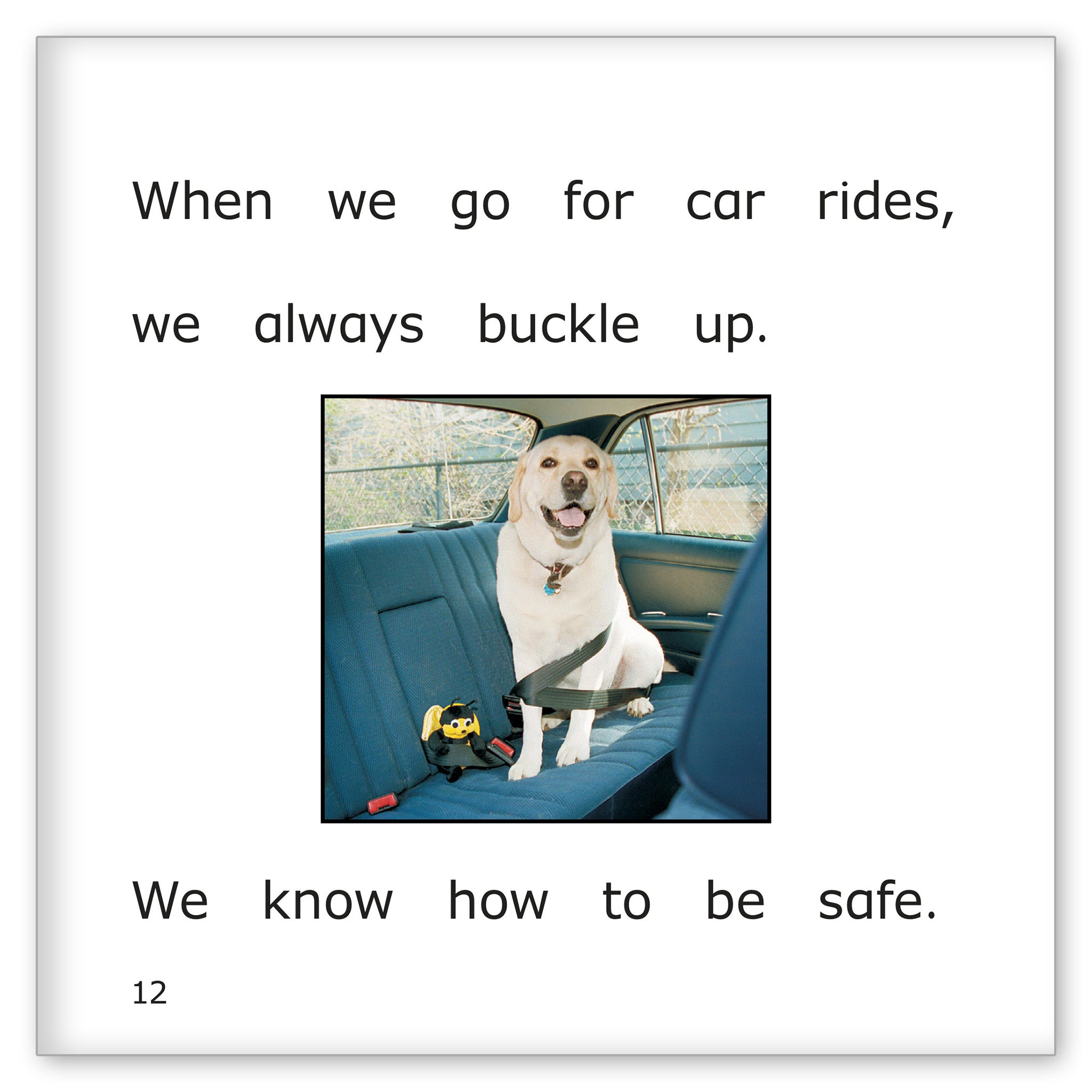 Danny and Bee's Safety Rules