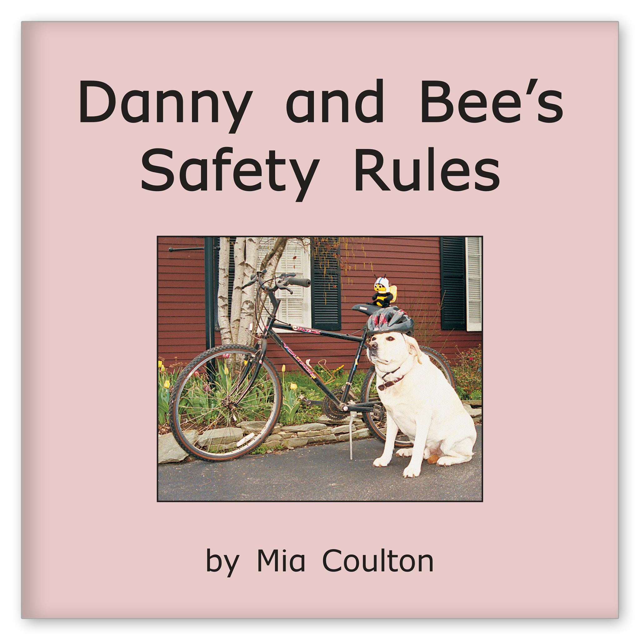 Danny and Bee's Safety Rules from More Fun with Danny