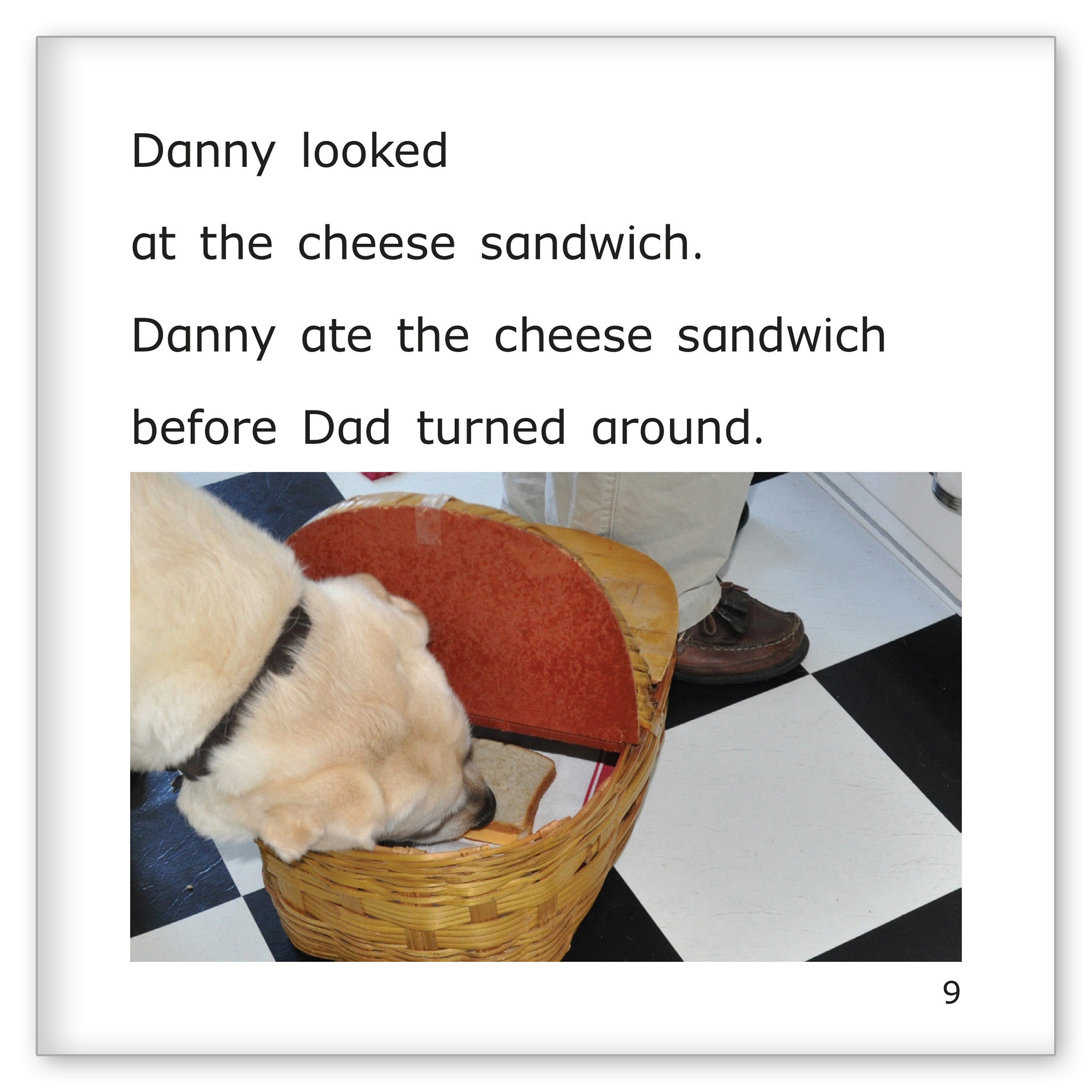Danny and Dad Go on a Picnic
