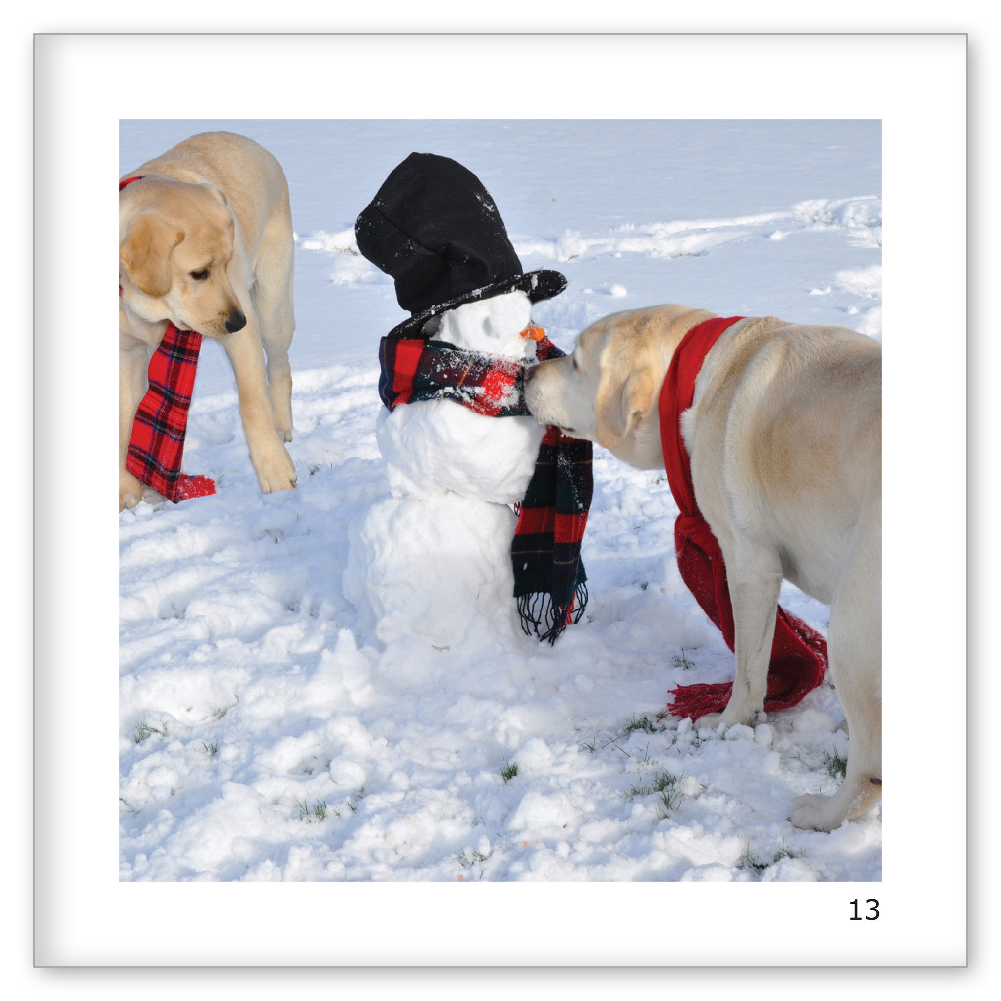 Danny and Norman's Snowman