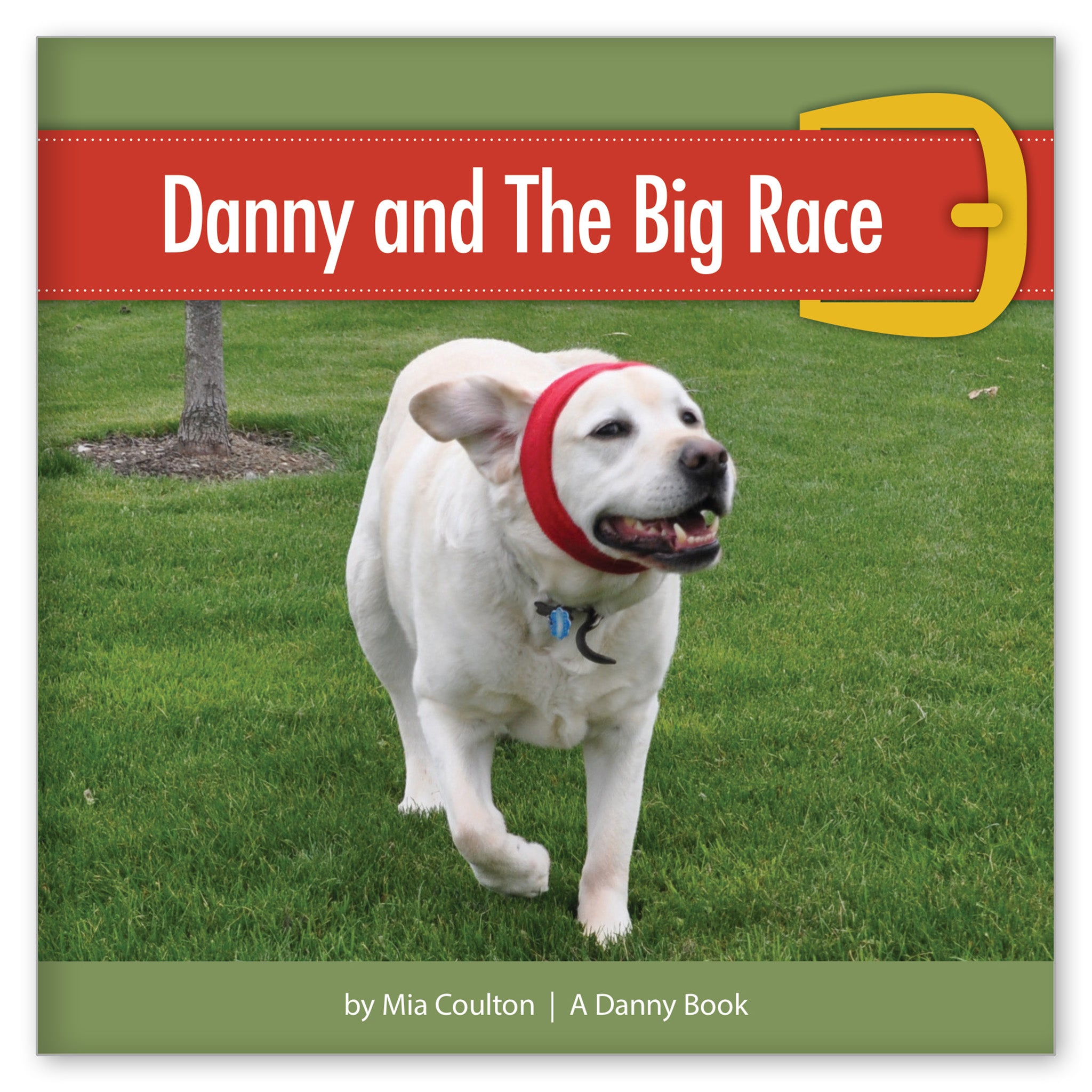 Danny and The Big Race from Danny by the Dozen