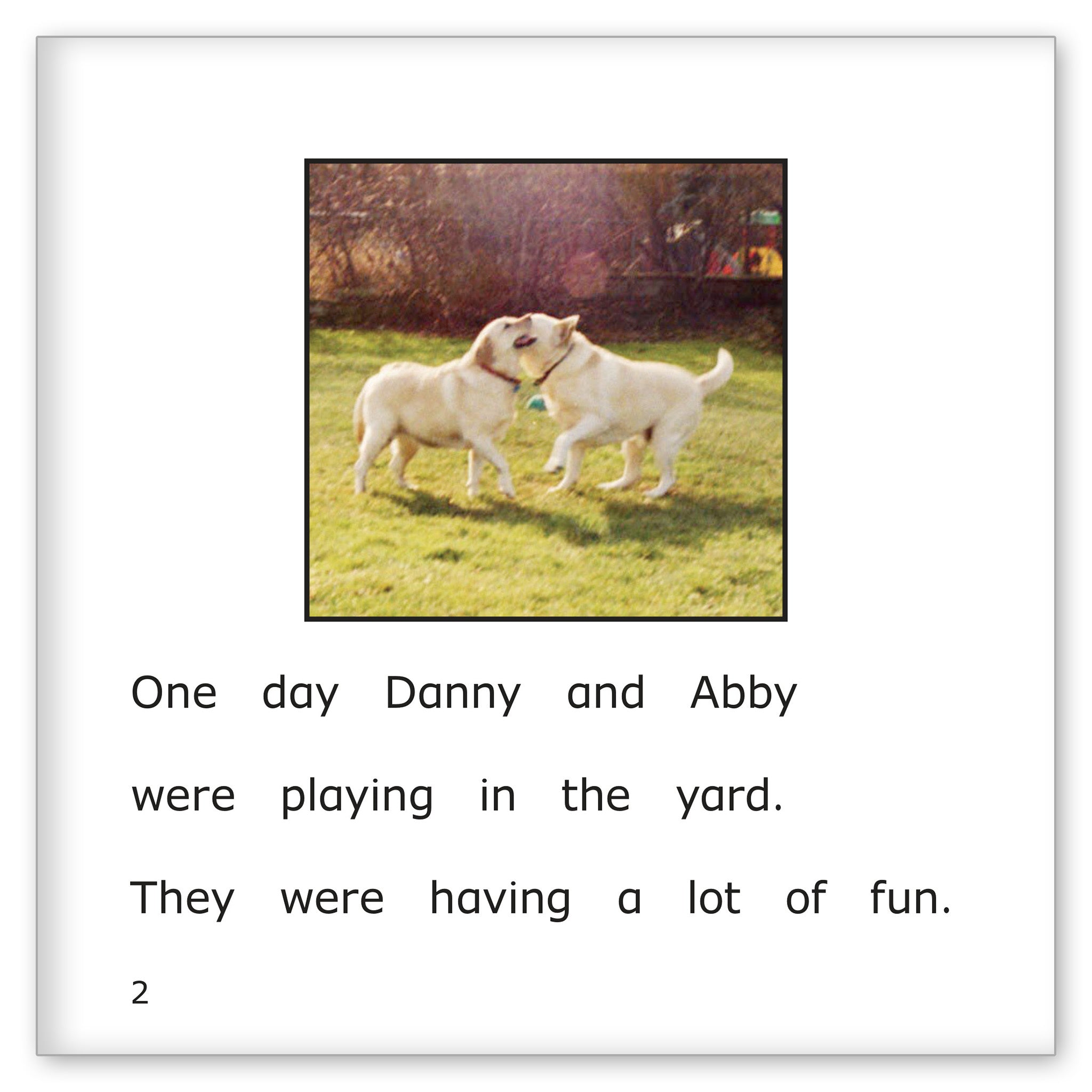 Danny and the Bully