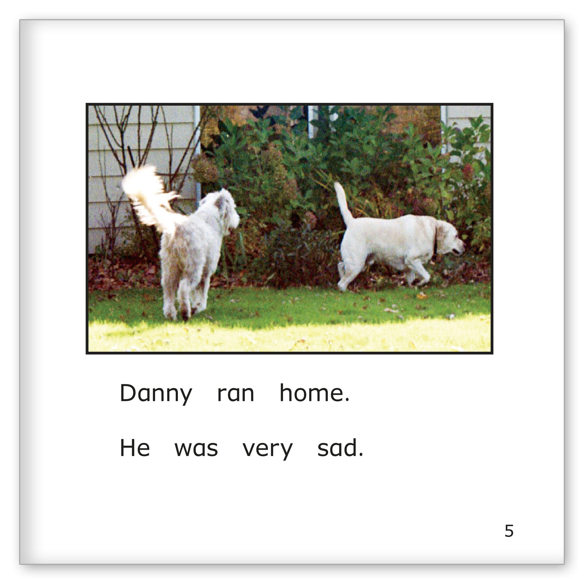Danny and the Bully