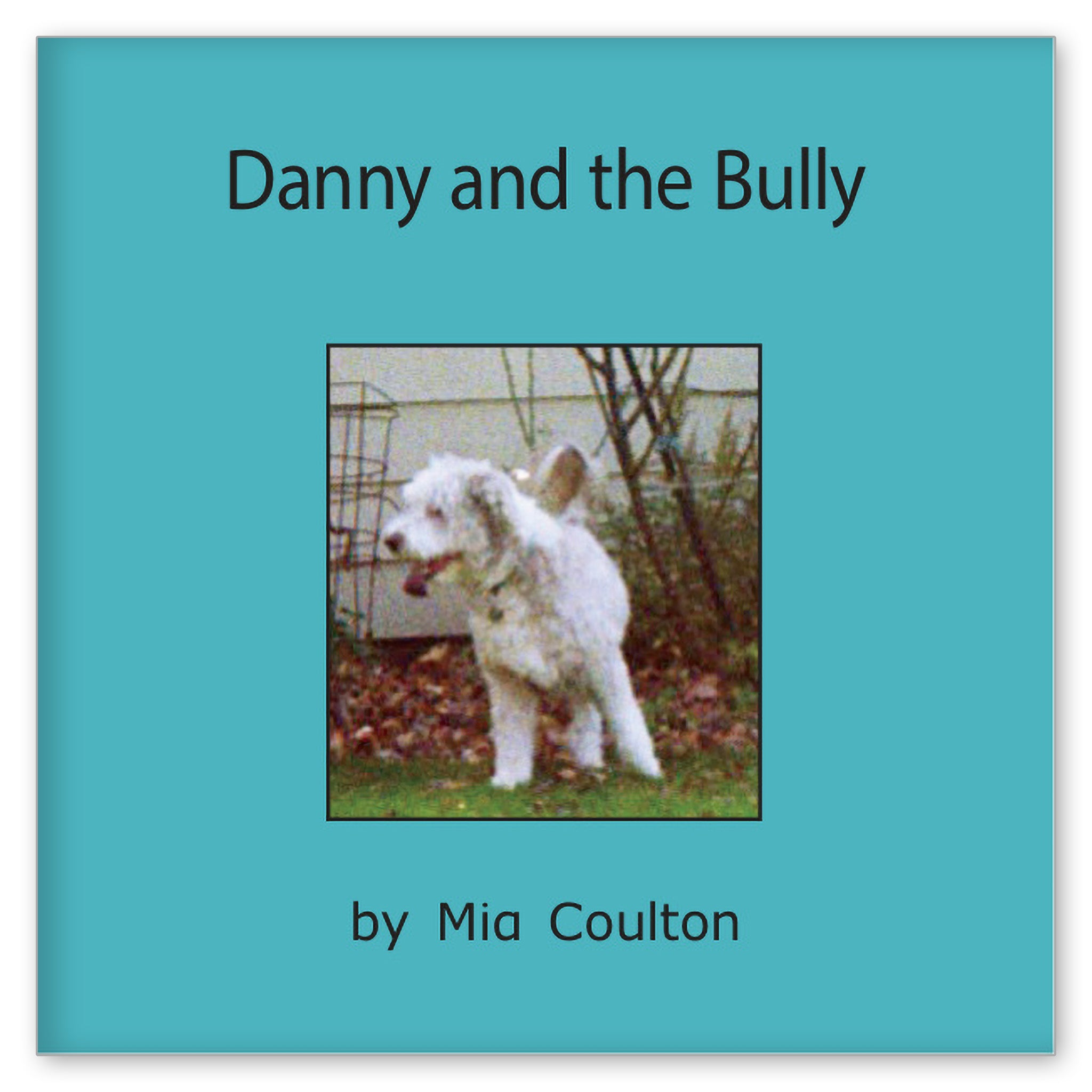 Danny and the Bully from More Fun with Danny