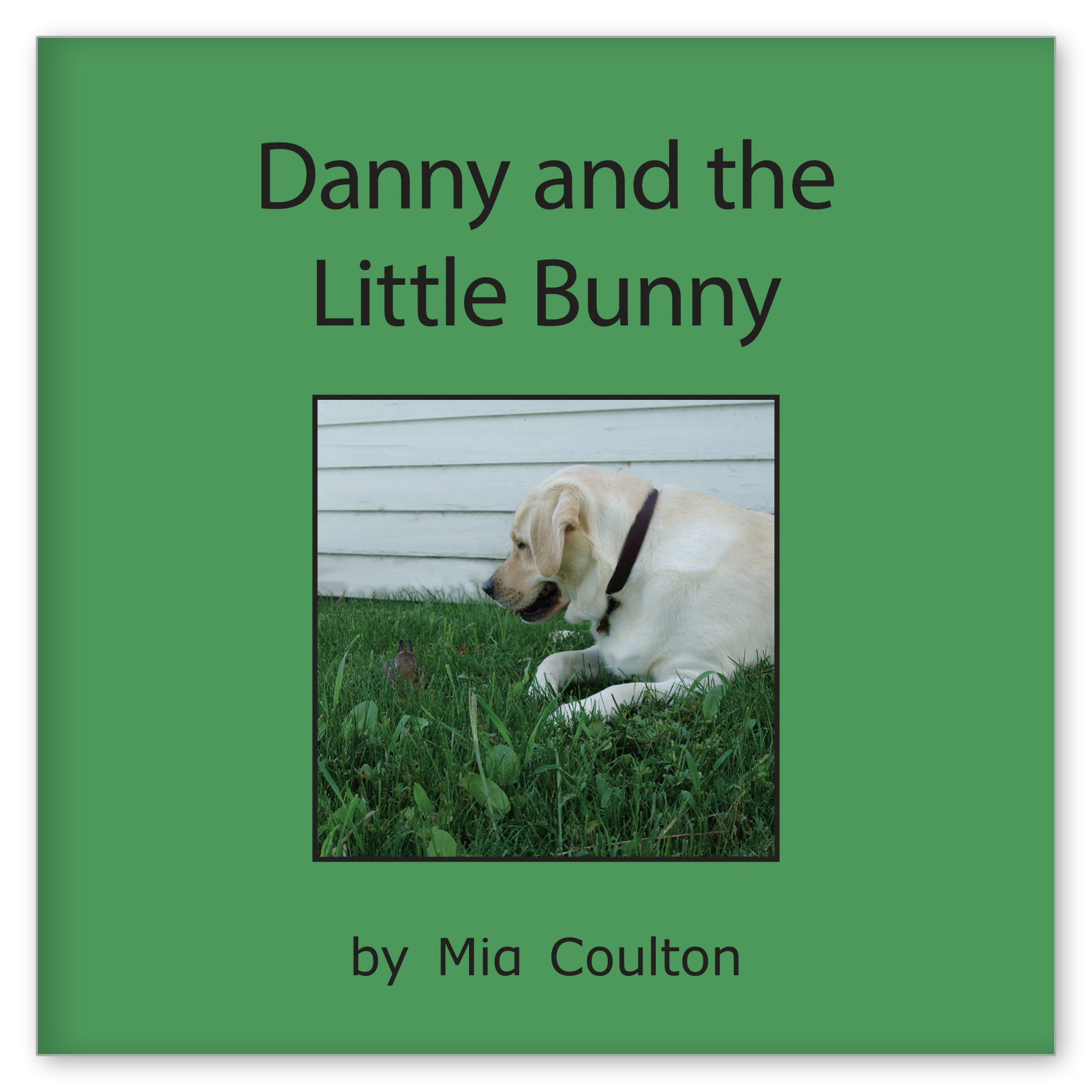 Danny and the Little Bunny from Hot Diggity Danny