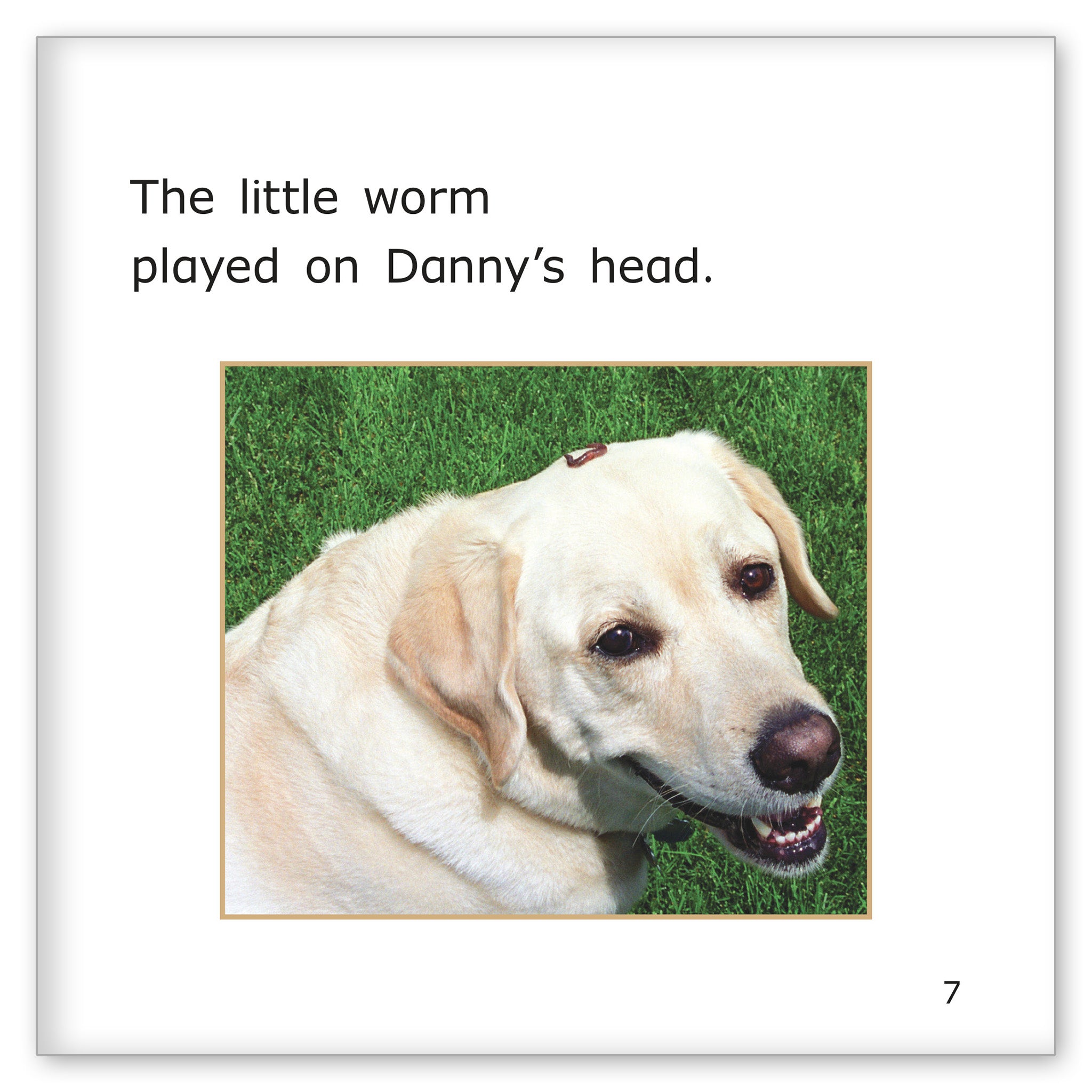 Danny and the Little Worm