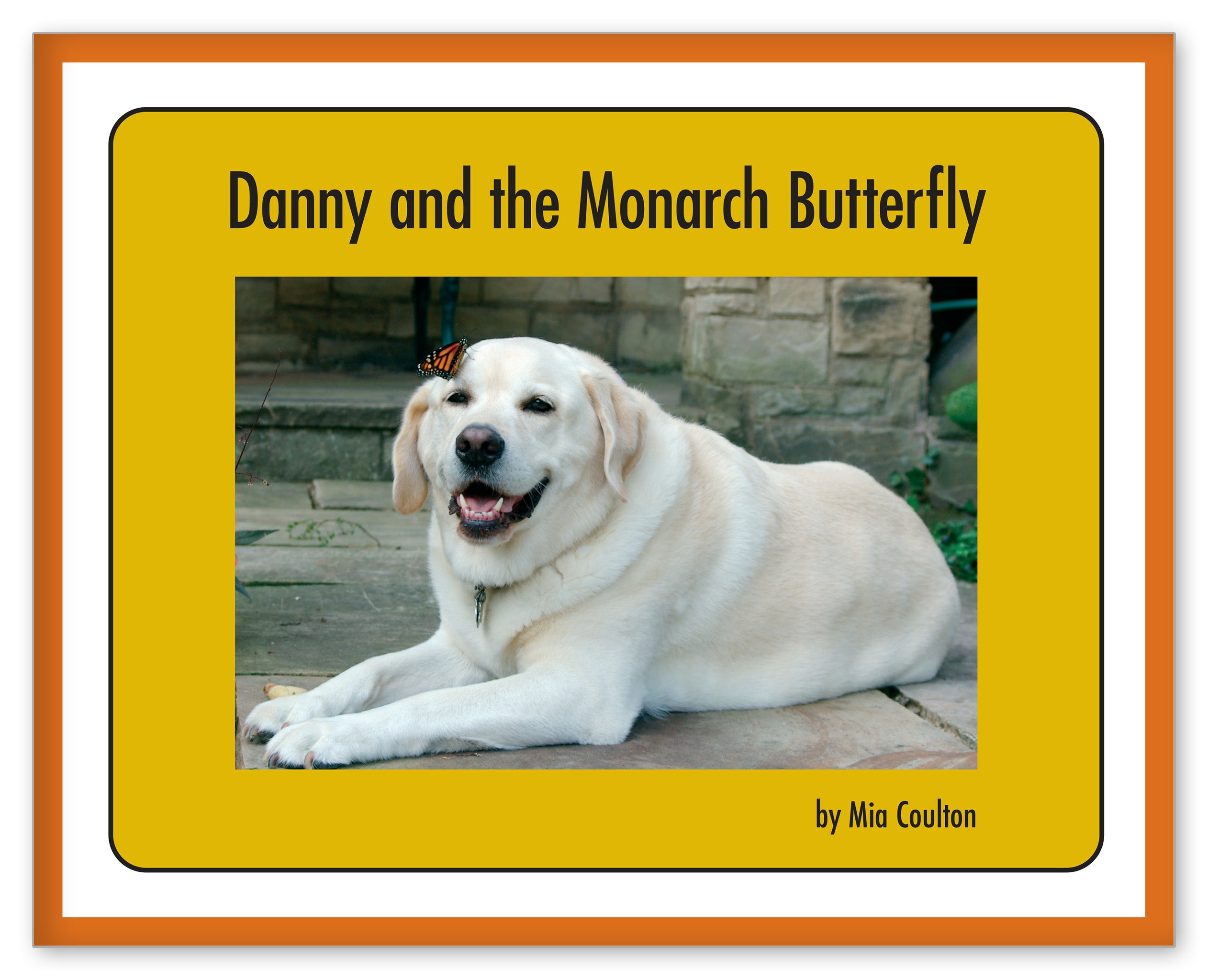 Danny and the Monarch Butterfly from Scientist Danny Set
