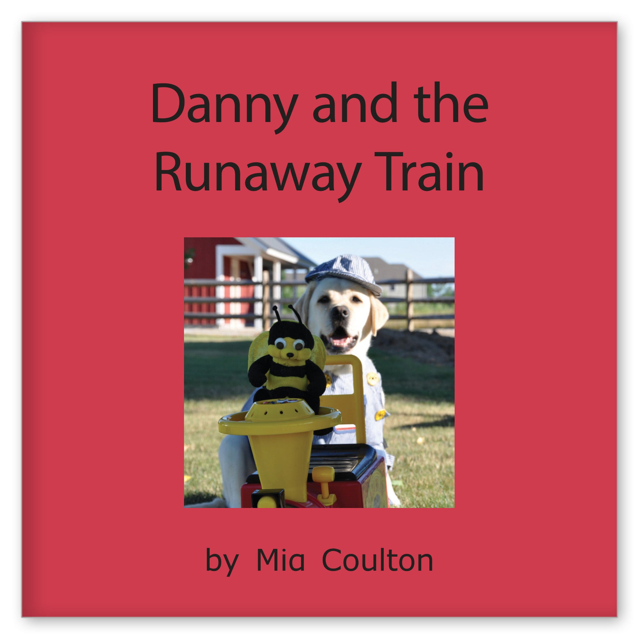 Danny and the Runaway Train from Hot Diggity Danny