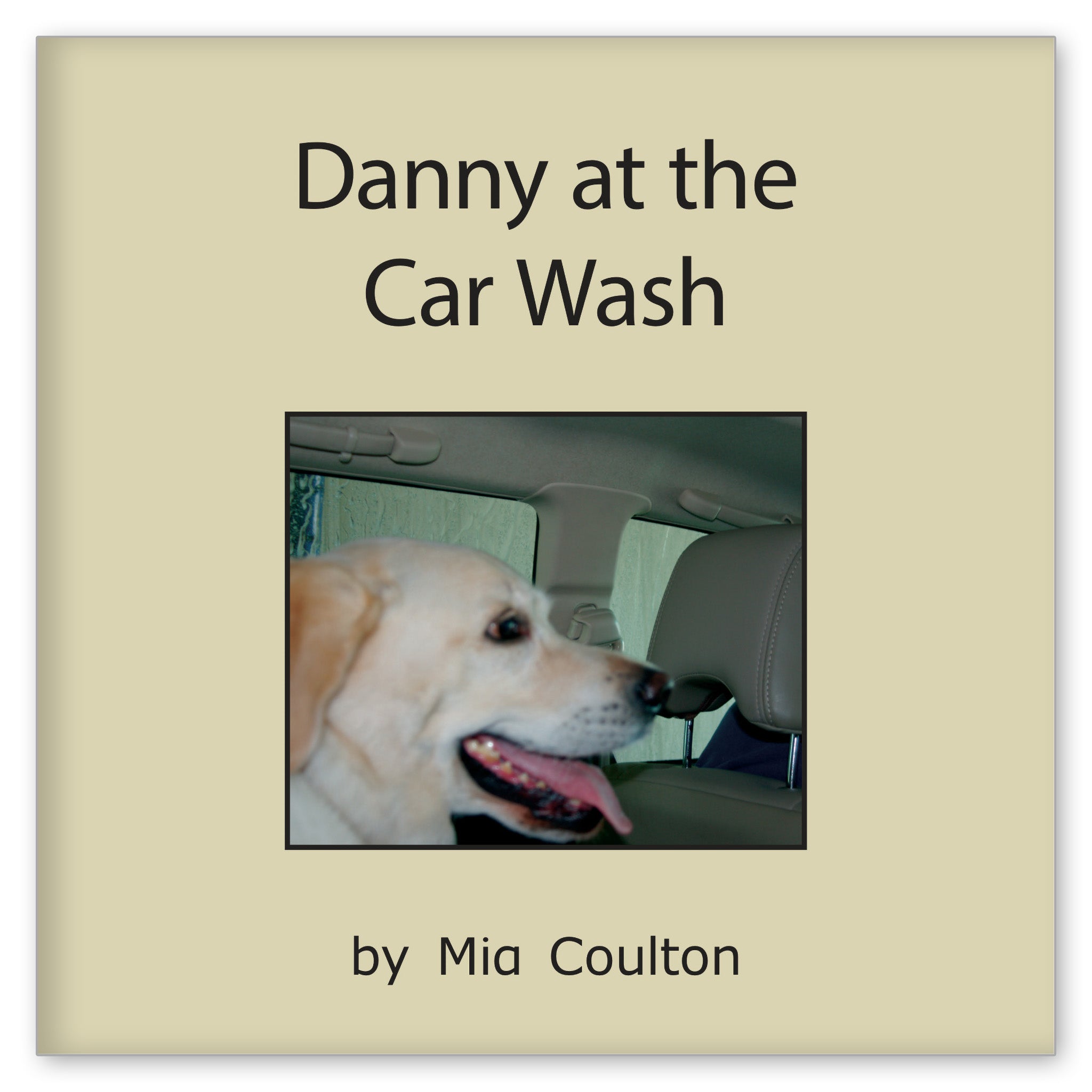 Danny at the Car Wash from Danny Returns