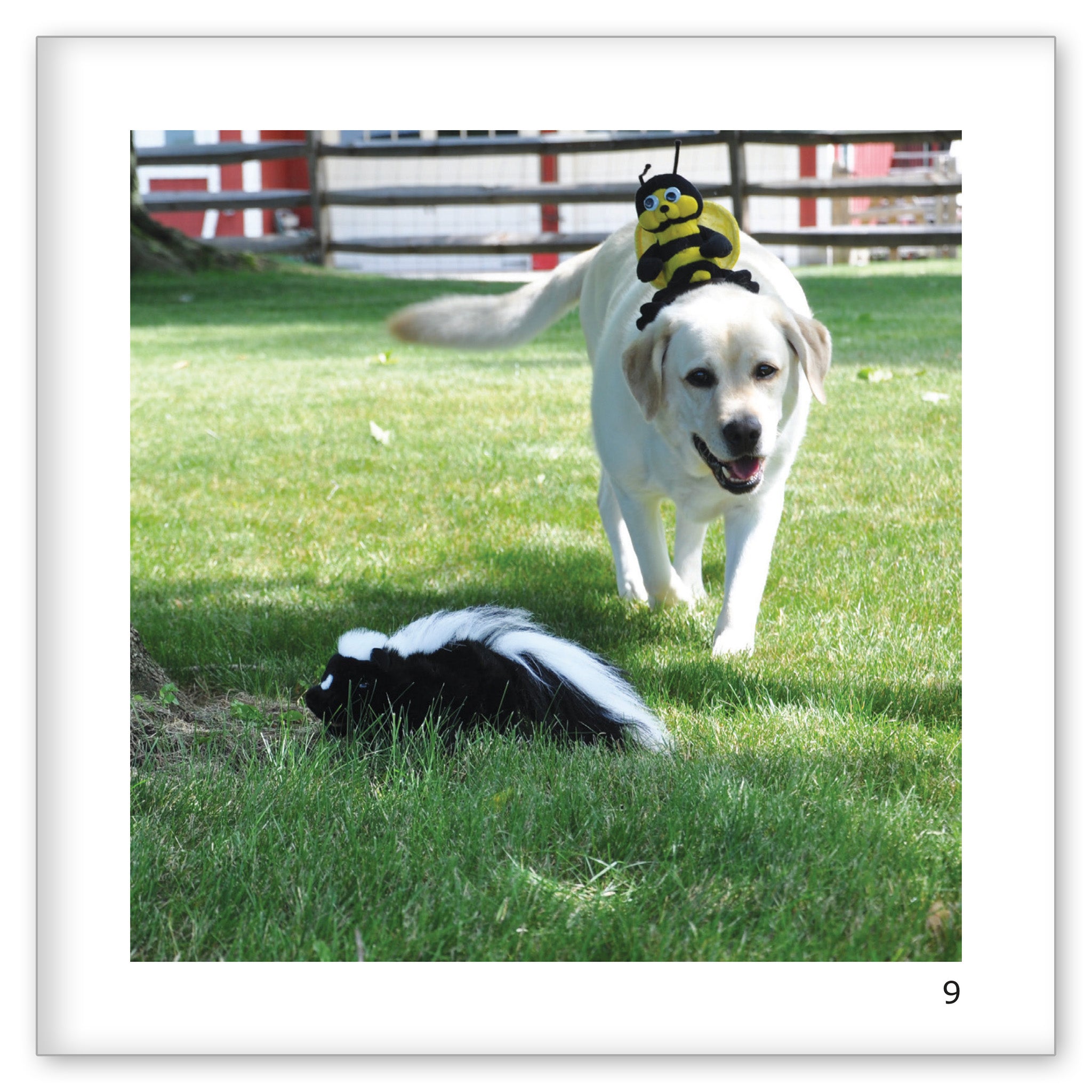 Danny, Bee and the Skunk