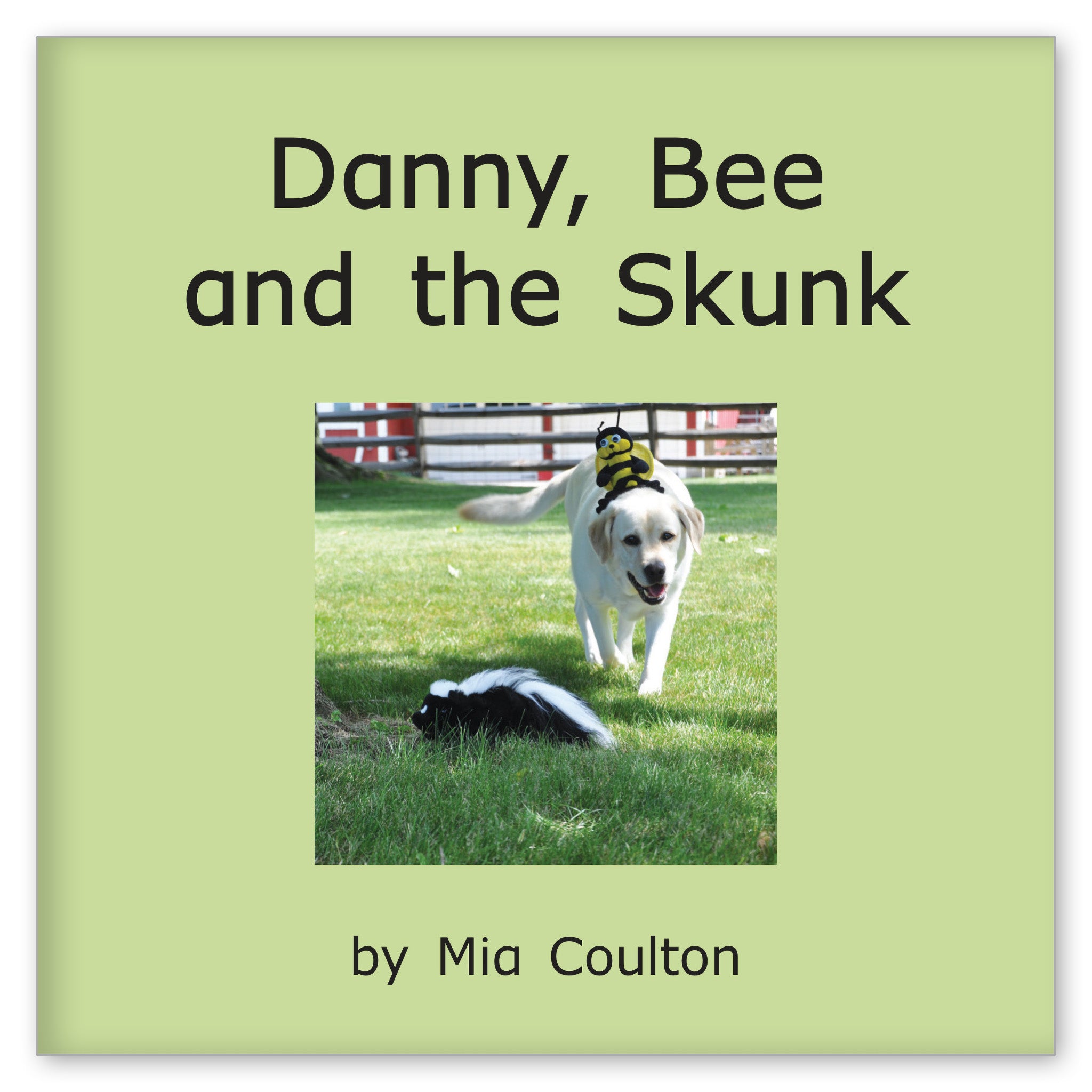 Danny, Bee and the Skunk from Dynamo Danny