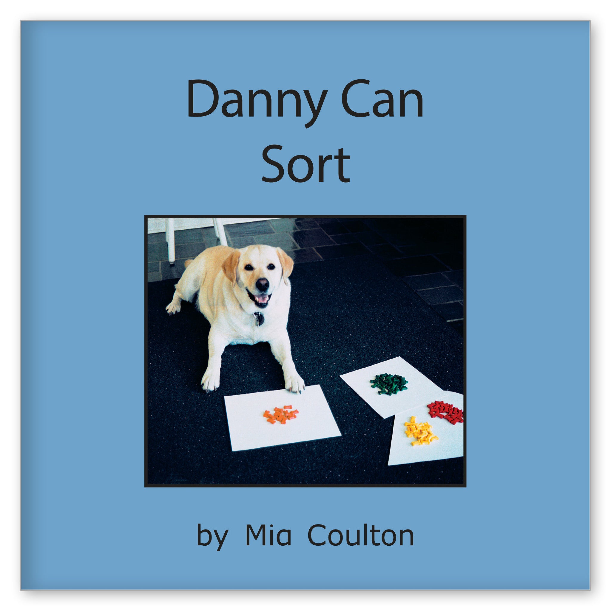 Danny Can Sort from Meet Danny